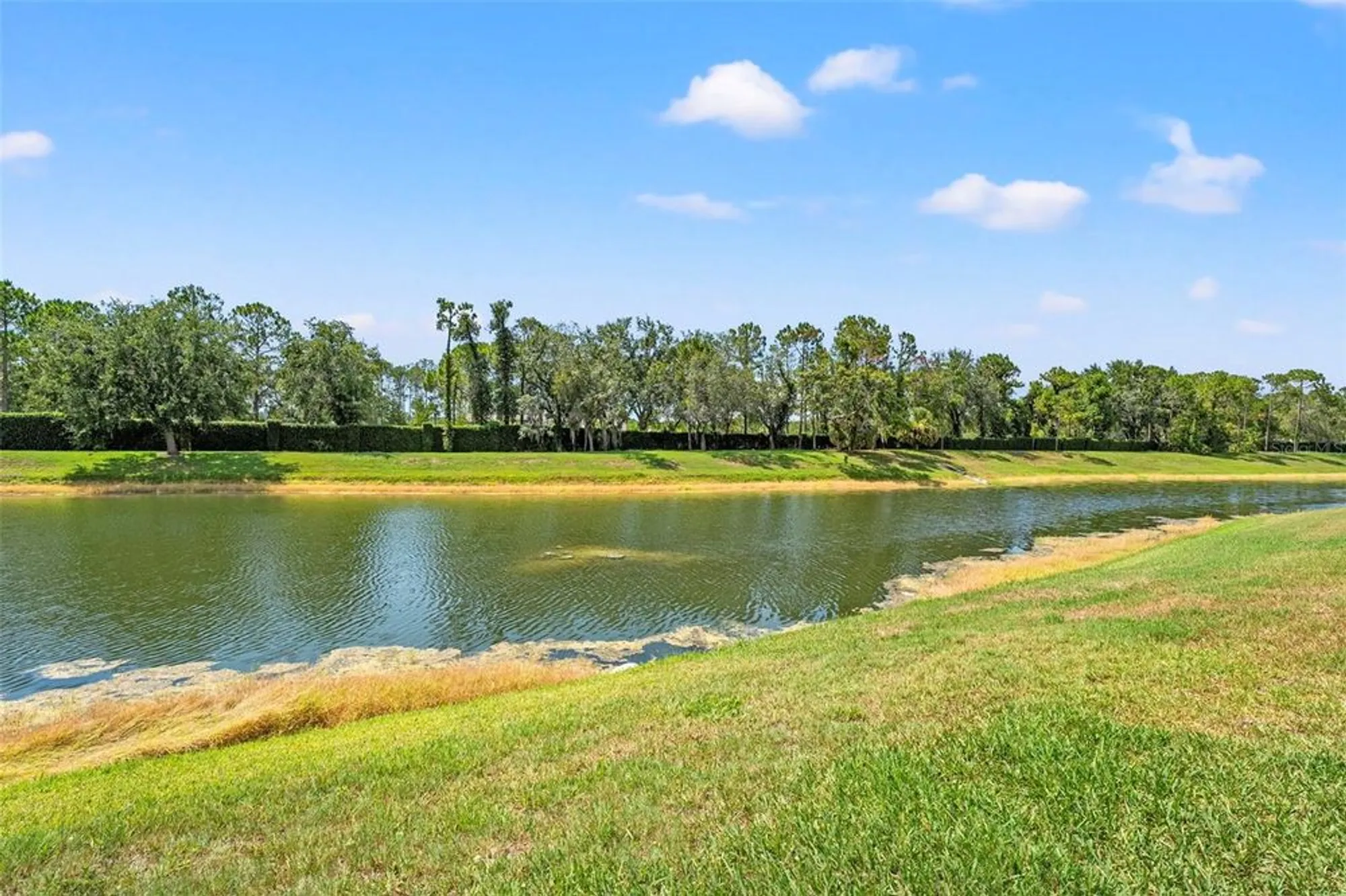 Property Slideshow image 35 of 48 | 6282 darien way, Spring Hill, FL, 34606