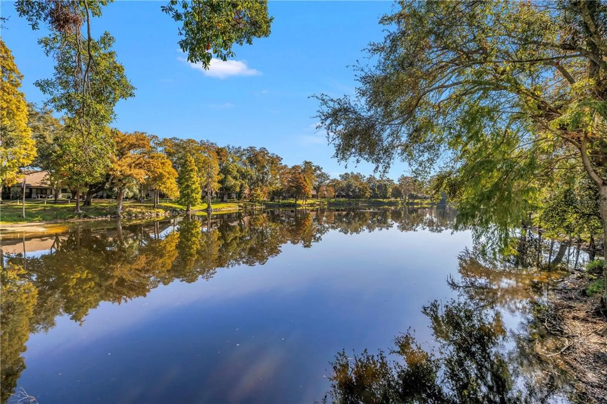 Property Slideshow image 39 of 52 | 2585 bay berry dr 43d, Clearwater, FL, 33763