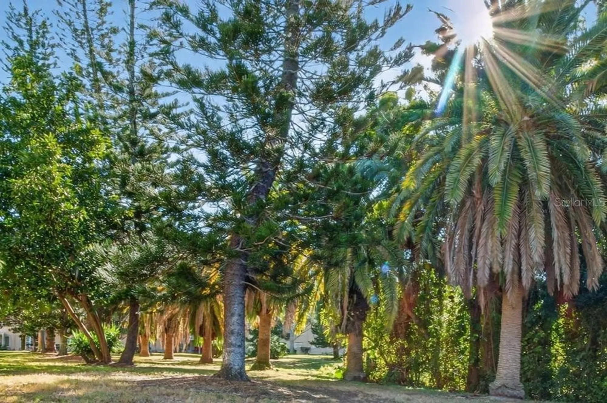 Property Slideshow image 34 of 59 | 2170 americus blvd 47, Clearwater, FL, 33763