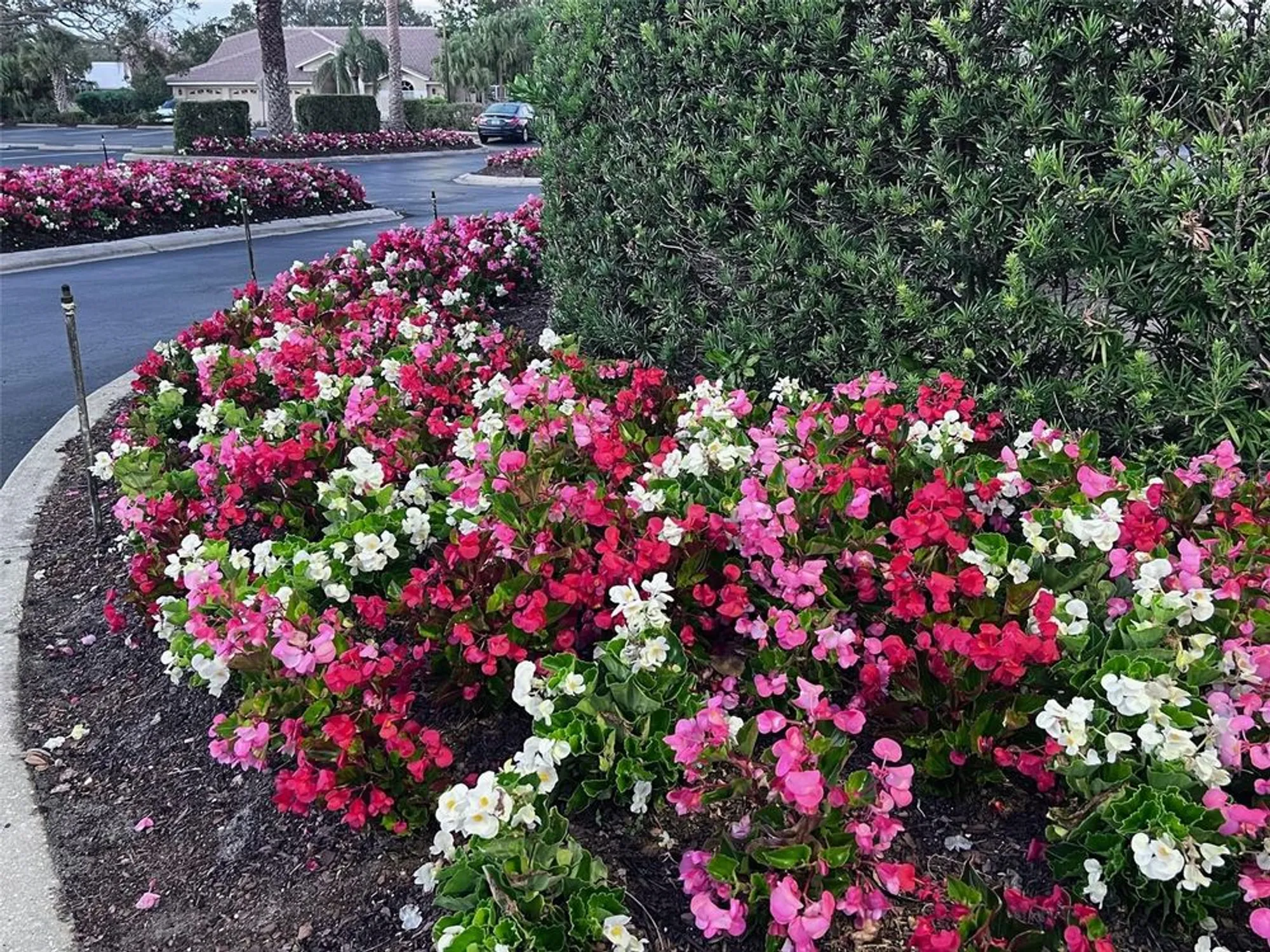 Property Slideshow image 38 of 71 | 6707 stone river rd apt 203, Bradenton, FL, 34203