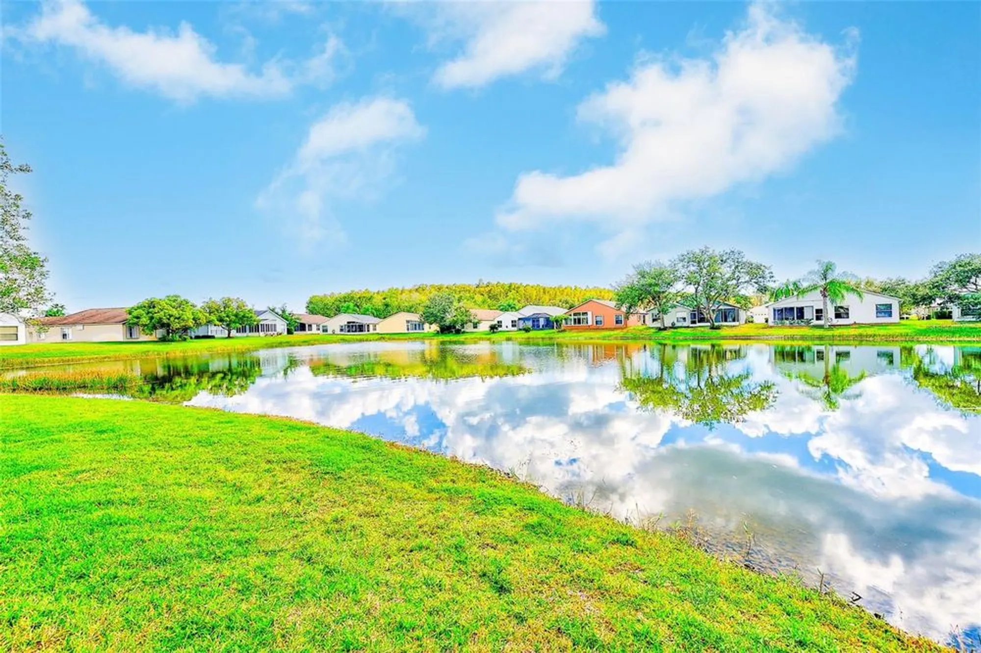 Property Slideshow image 27 of 37 | 11600 weaver park ct, Trinity, FL, 34655