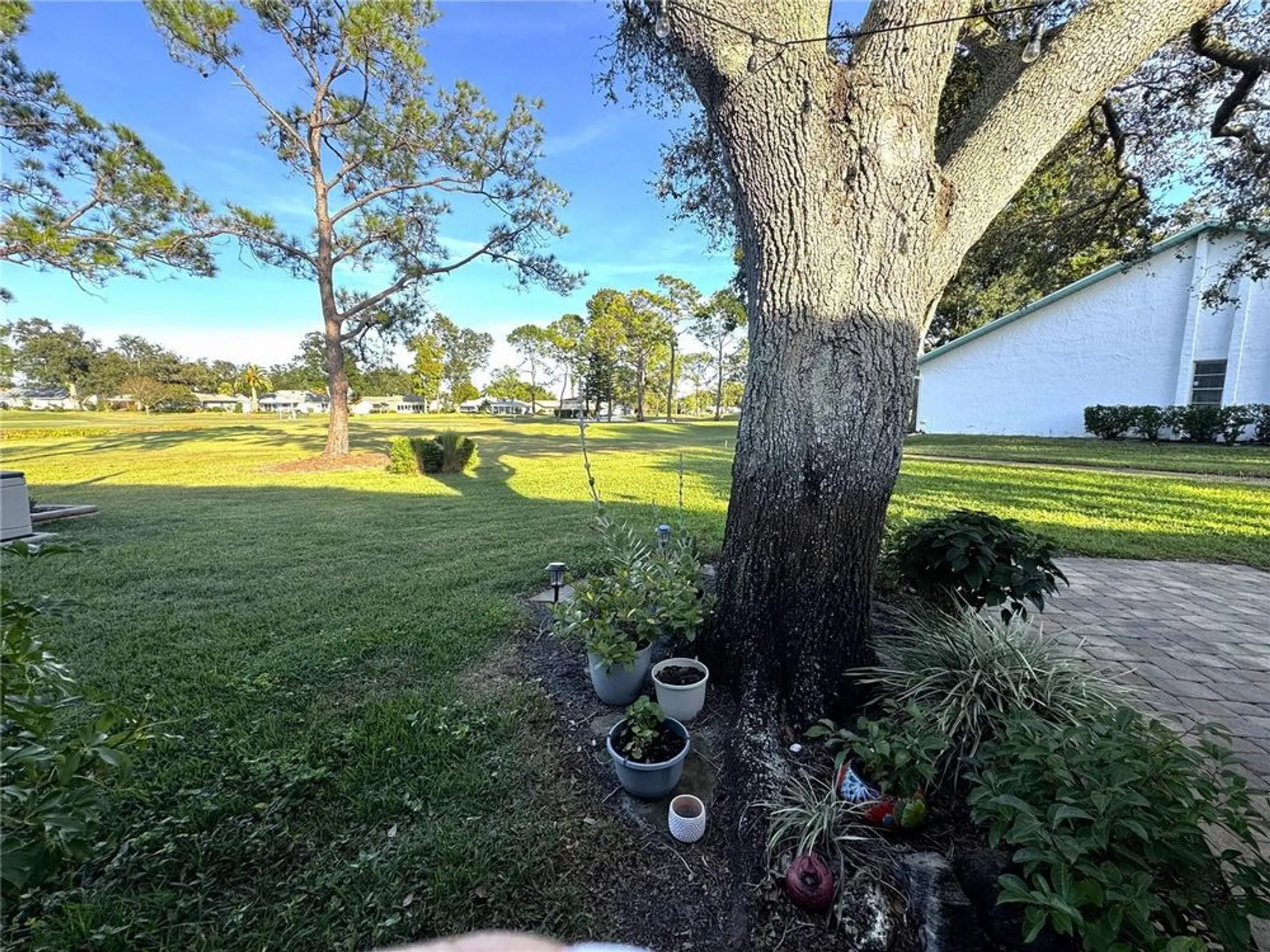 Property Slideshow image 16 of 18 | 1109 madeira dr, Palm Harbor, FL, 34684