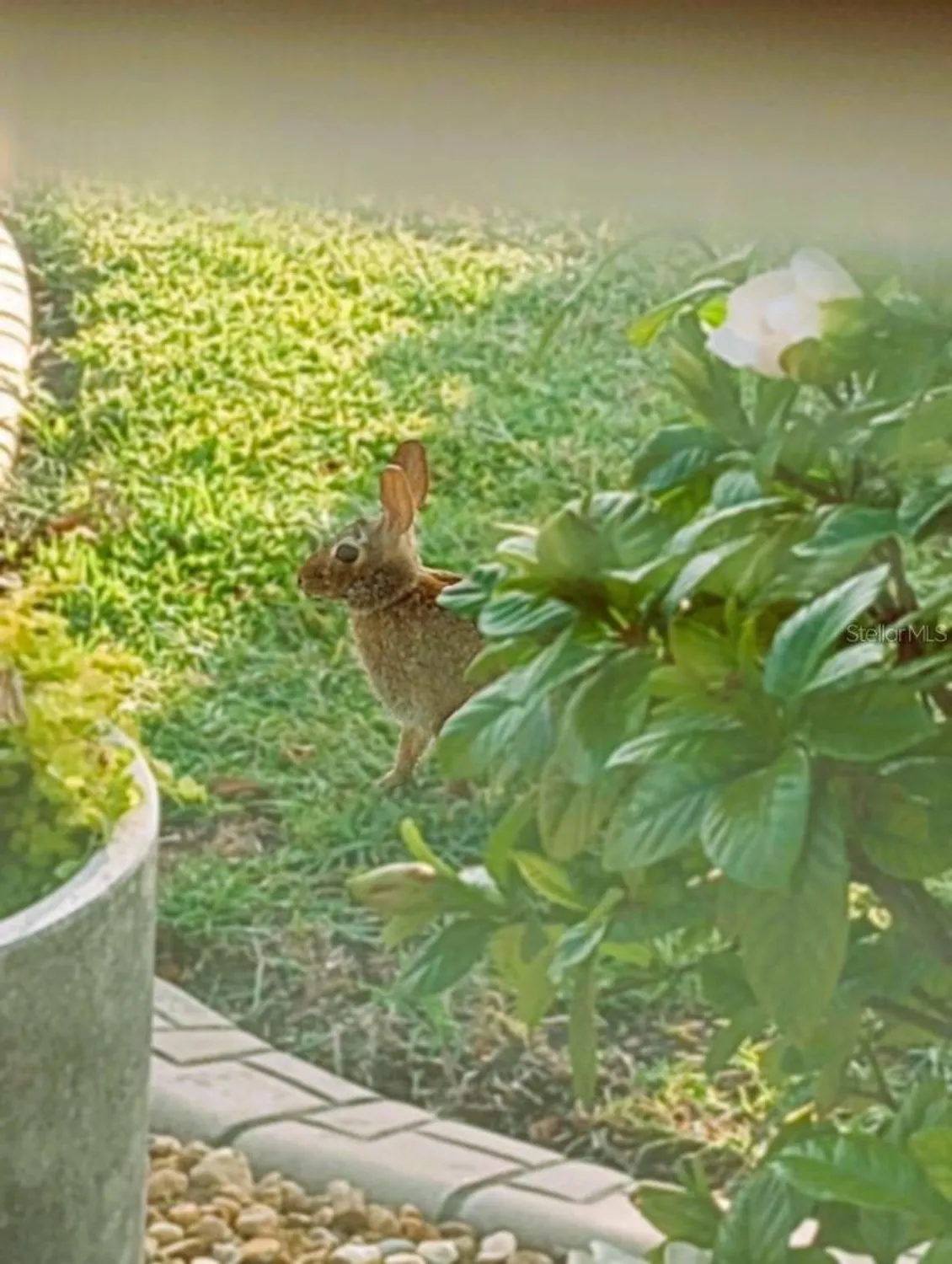 Property Slideshow image 40 of 59 | 15858 sw 11th court rd, Ocala, FL, 34473