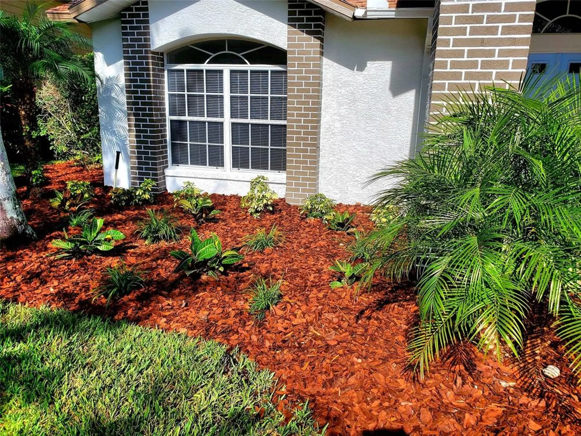Property Slideshow image 3 of 50 | 1517 morning rose pl, Trinity, FL, 34655