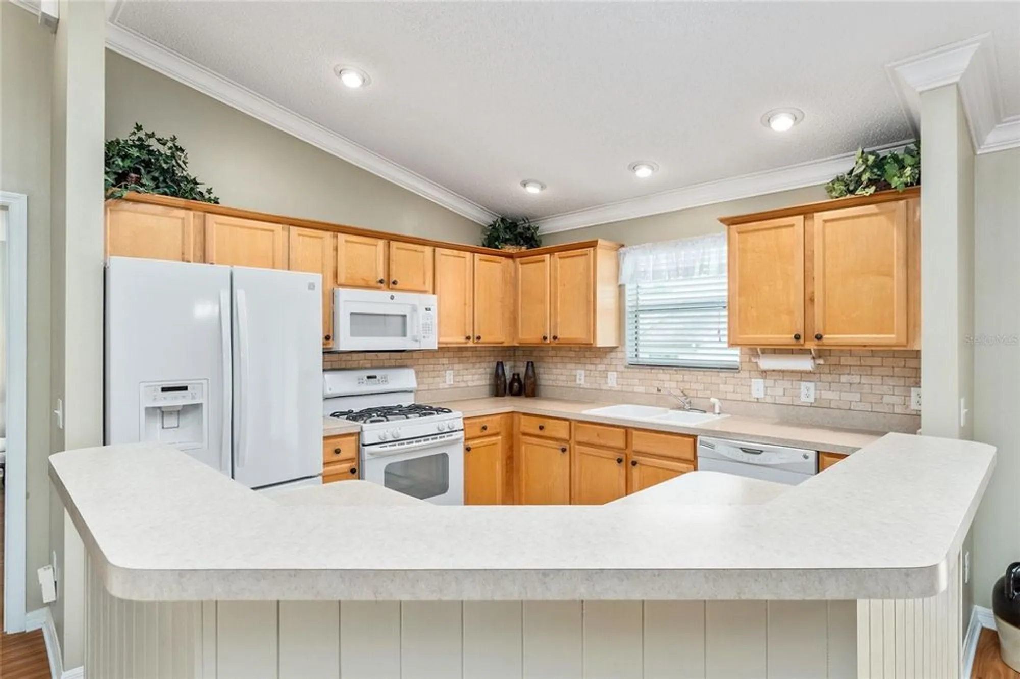 Property Slideshow image 15 of 59 | 301 pacolet ter, The Villages, FL, 32162