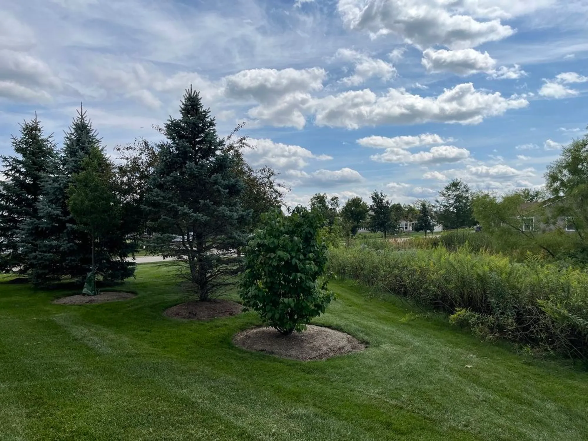 Property Slideshow image 12 of 19 | 2862 stoney creek dr, Elgin, IL, 60124
