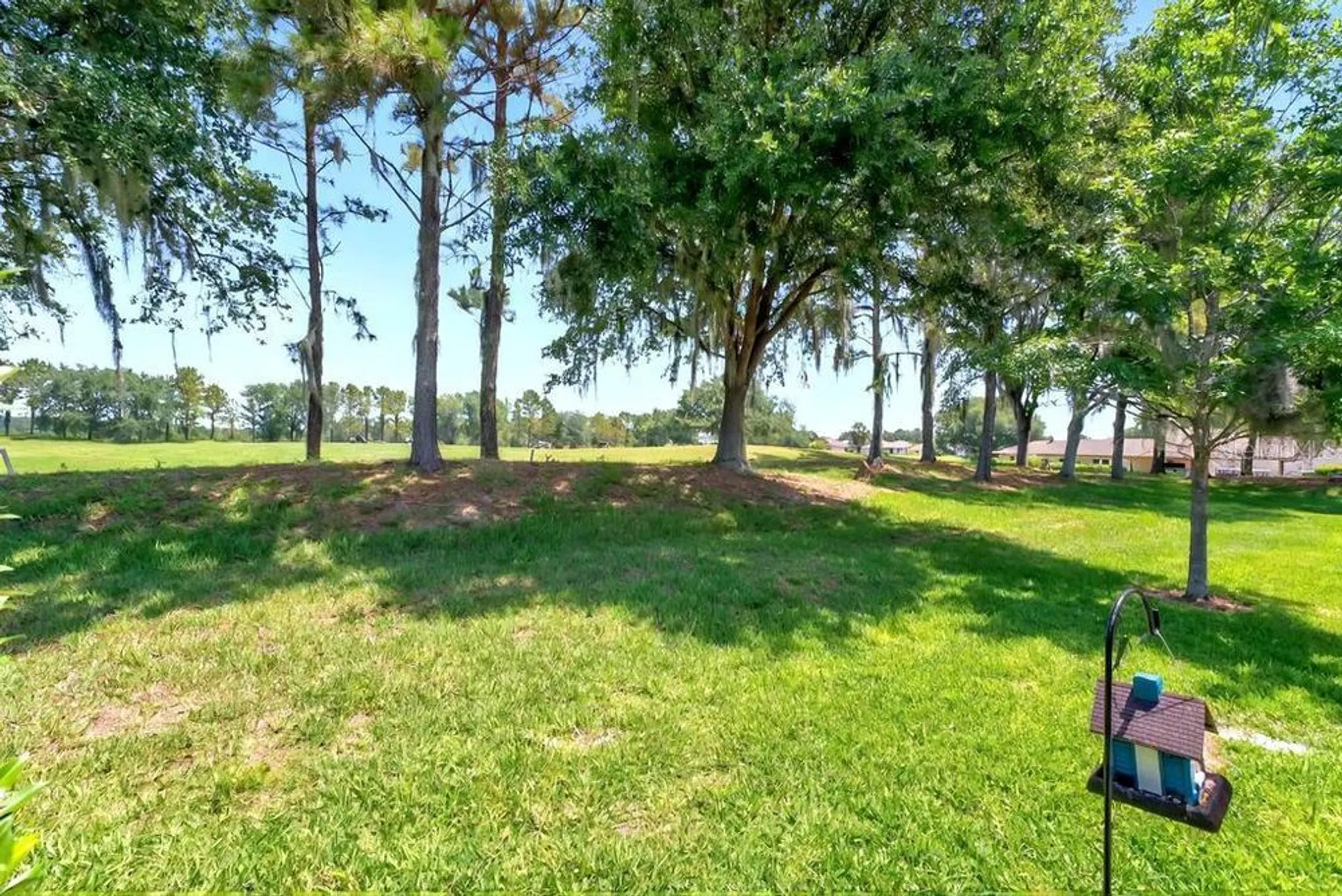 Property Slideshow image 6 of 38 | 27121 white plains way, Leesburg, FL, 34748