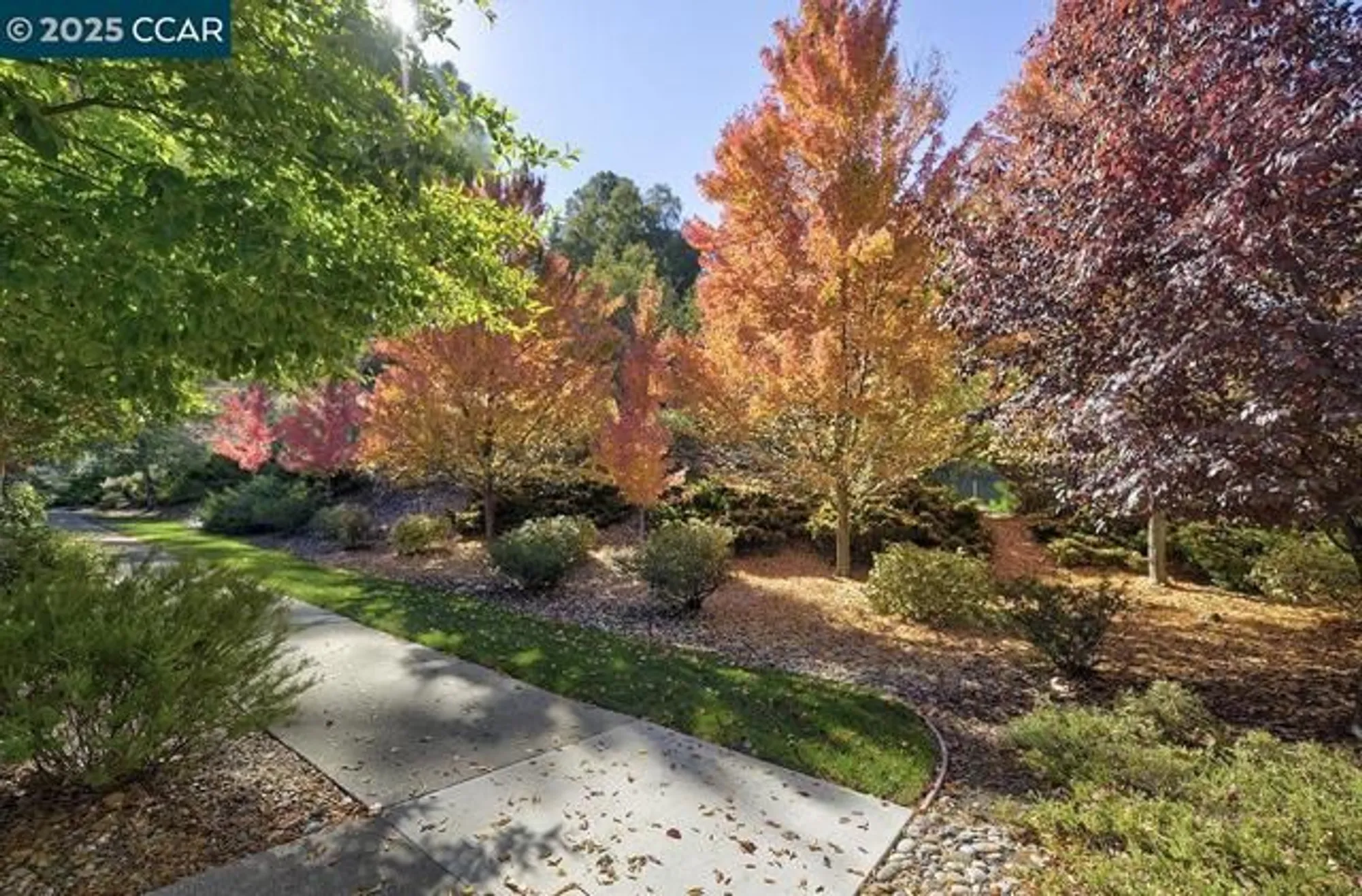 Property Slideshow image 29 of 45 | 1137 stanley dollar dr 5, Walnut Creek, CA, 94595