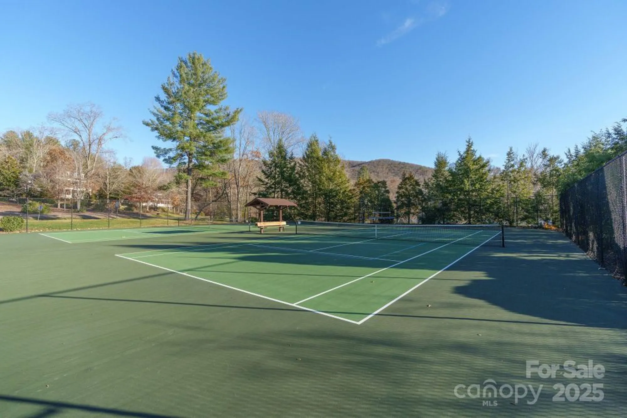 Property Slideshow image 48 of 48 | 279 fennel dun cir, Biltmore Lake, NC, 28715