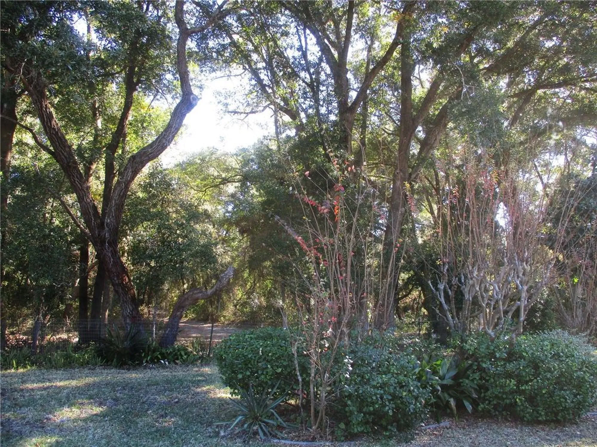 Property Slideshow image 55 of 77 | 14652 sw 112th cir, Dunnellon, FL, 34432