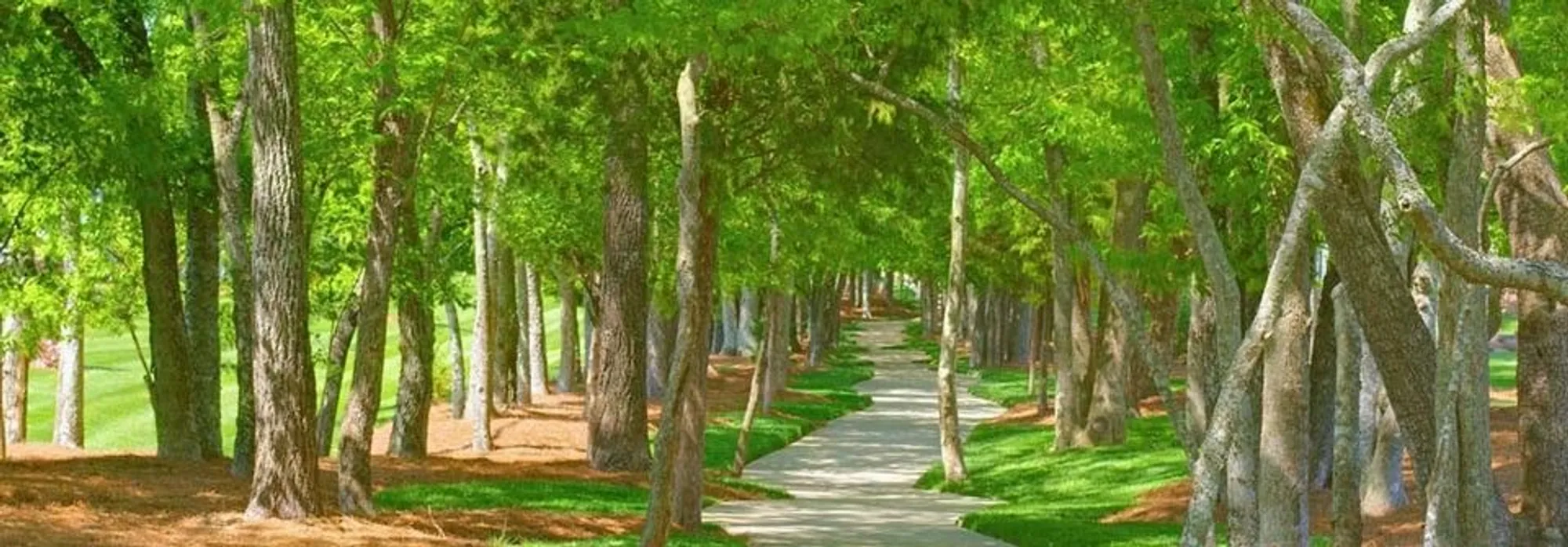 Property Slideshow image 38 of 44 | 103 dahlgren dr, Mount Juliet, TN, 37122