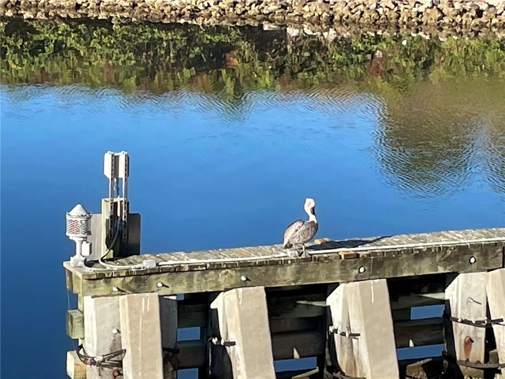 Property Slideshow image 52 of 76 | 425 cerromar ter 359, Venice, FL, 34293