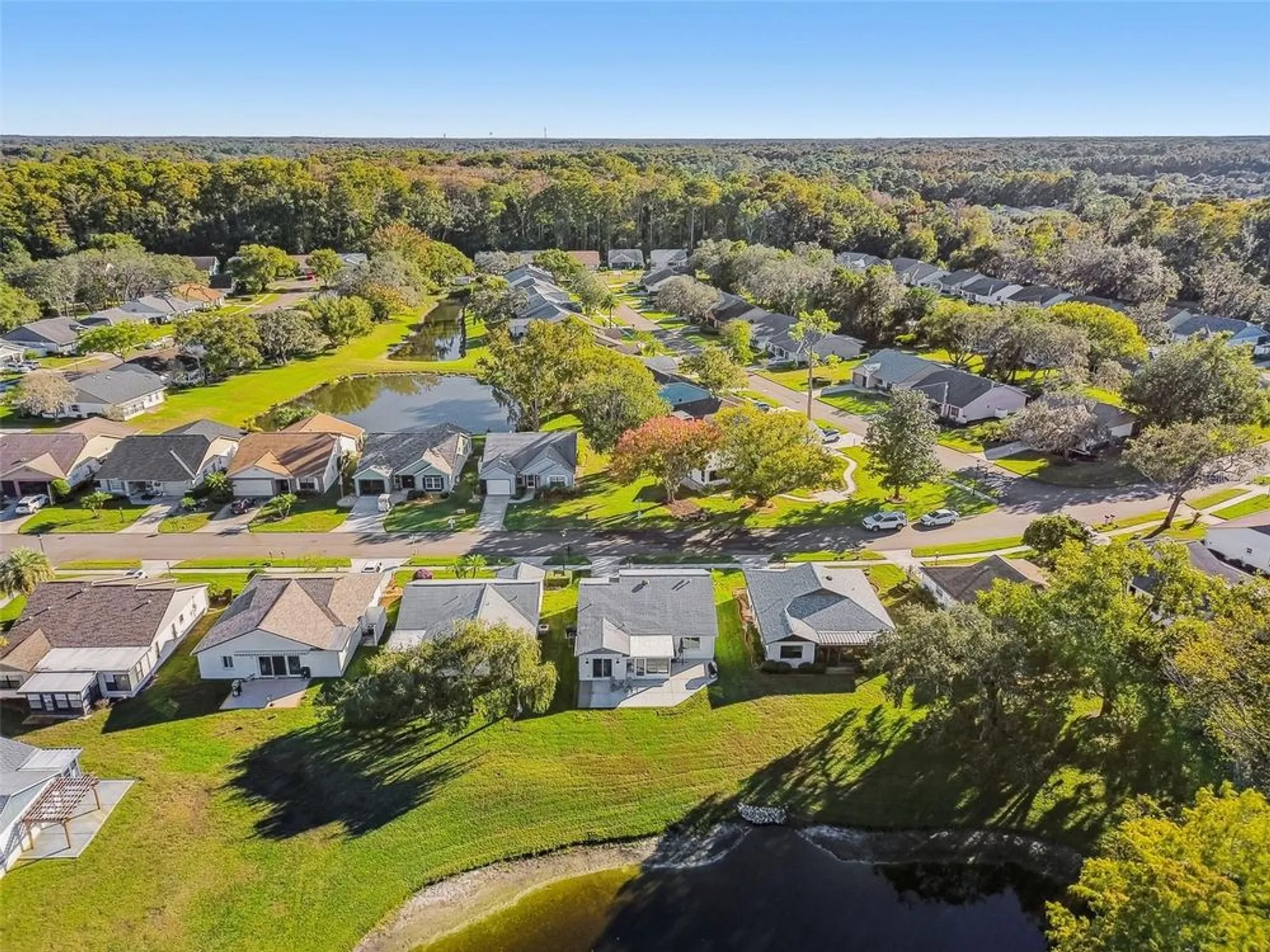 Property Slideshow image 28 of 49 | 11539 scotch pine dr, New Port Richey, FL, 34654