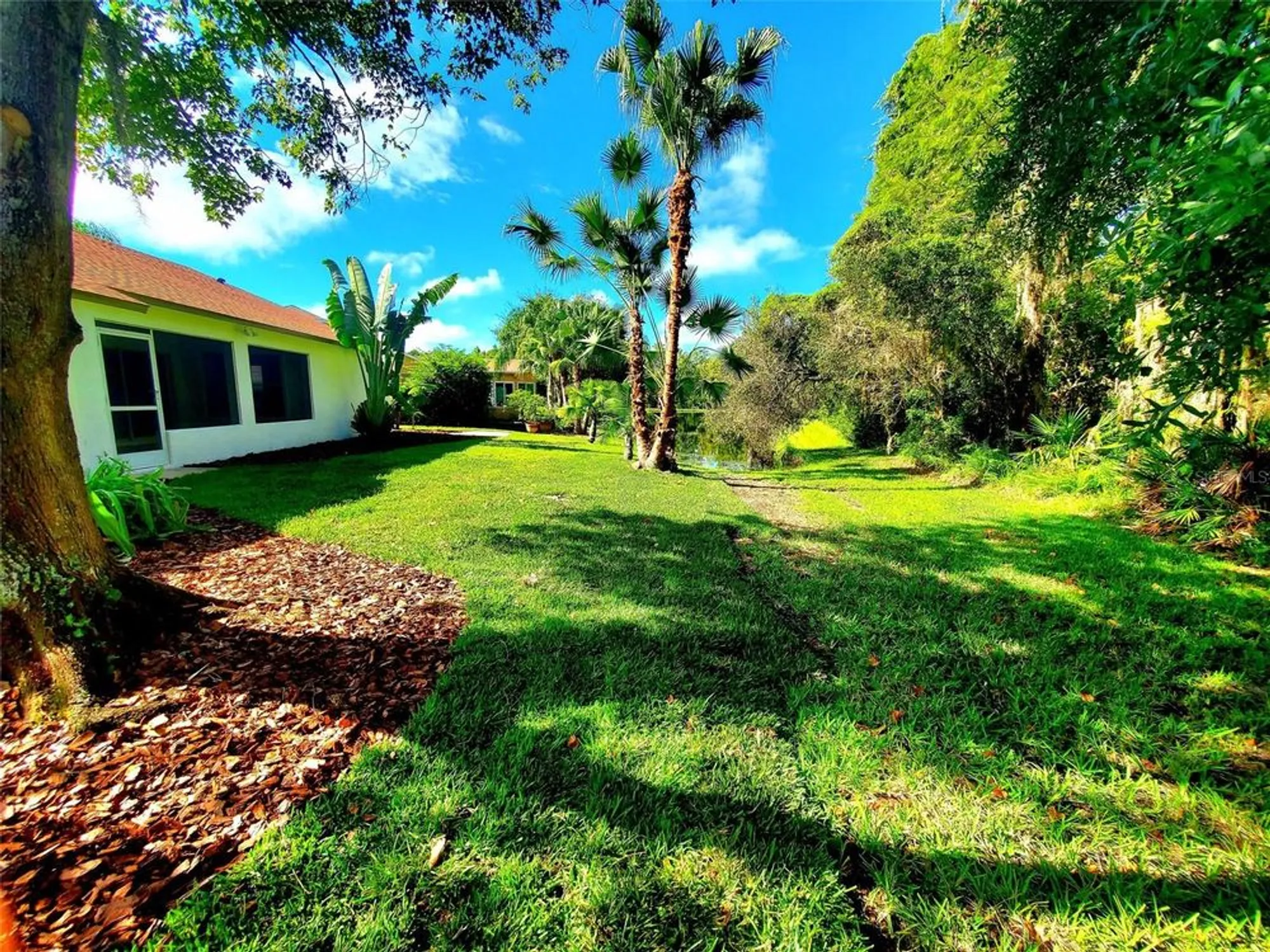 Property Slideshow image 47 of 50 | 1517 morning rose pl, Trinity, FL, 34655