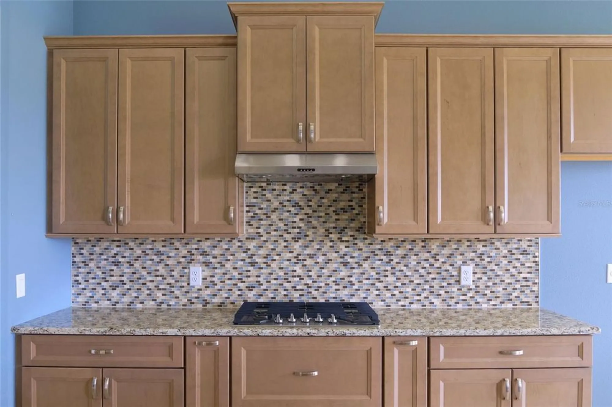 Property Slideshow image 10 of 36 | 1363 w greenmeadow path, Hernando, FL, 34442