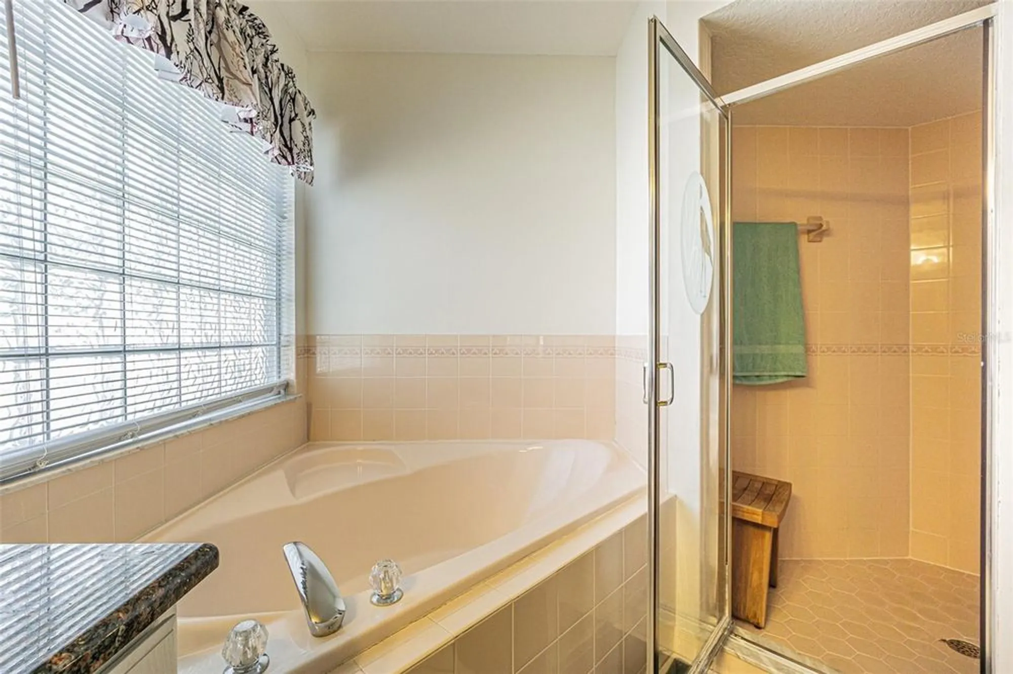 Property Slideshow image 23 of 37 | 29350 zeller ave, San Antonio, FL, 33576