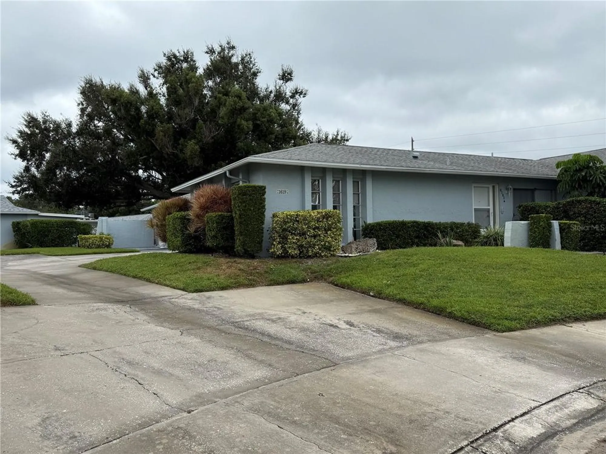 Property Slideshow image 29 of 35 | 1619 whithorn pl d, Palm Harbor, FL, 34684