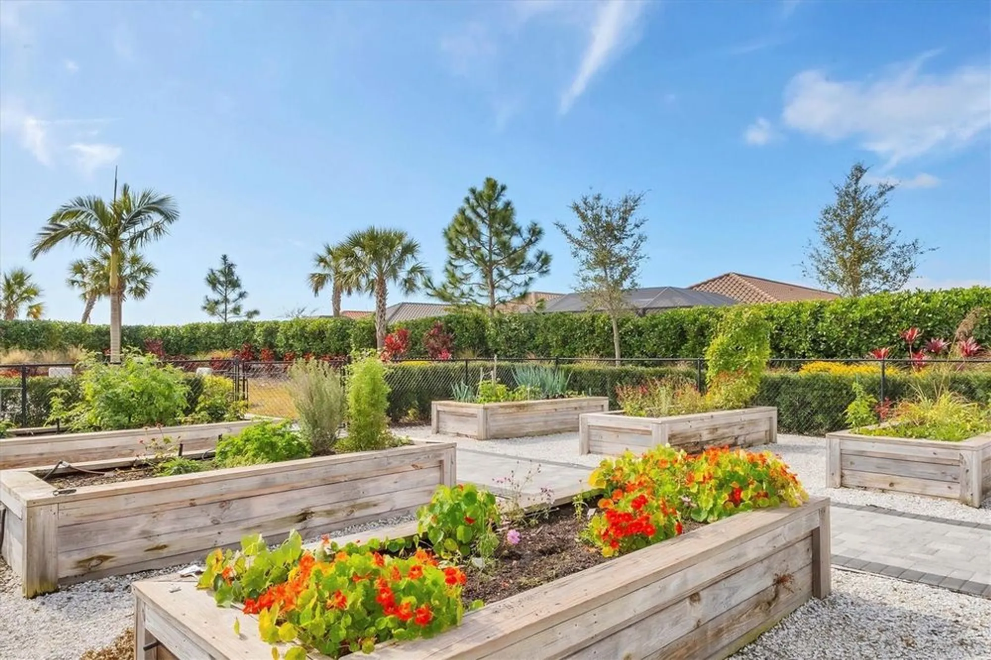 Property Slideshow image 59 of 98 | 15813 san lazzaro ave, Bradenton, FL, 34211