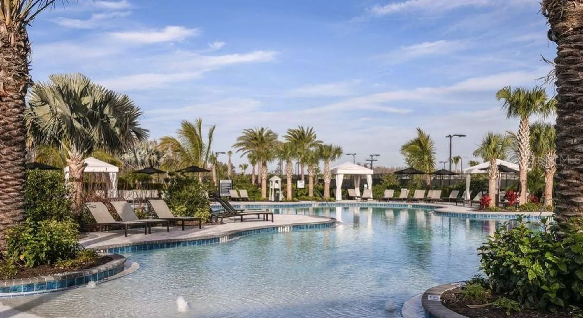 Property Slideshow image 39 of 43 | 29929 radice ct, Wesley Chapel, FL, 33543