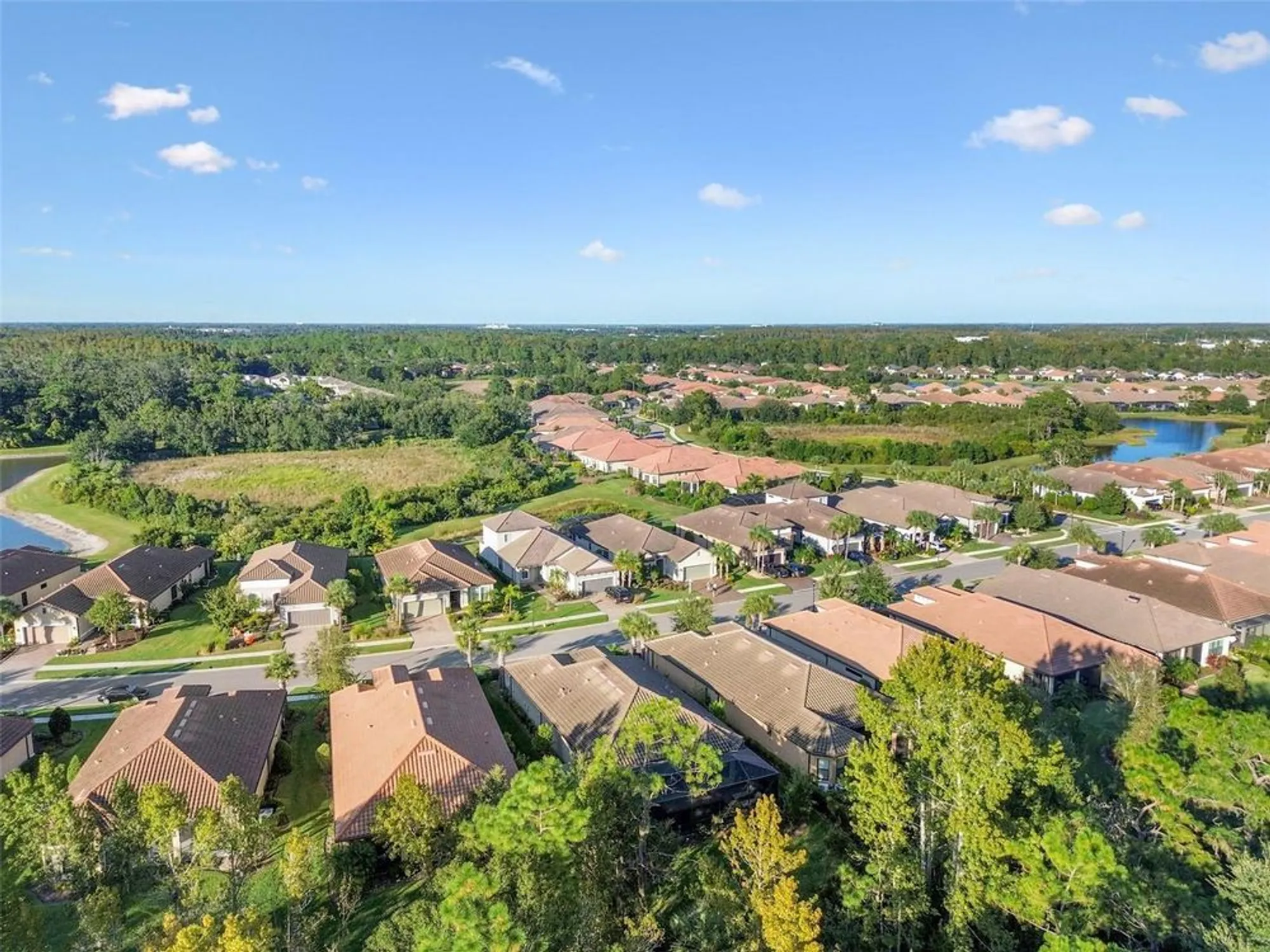 Property Slideshow image 58 of 95 | 8543 grand alberato rd, Tampa, FL, 33647