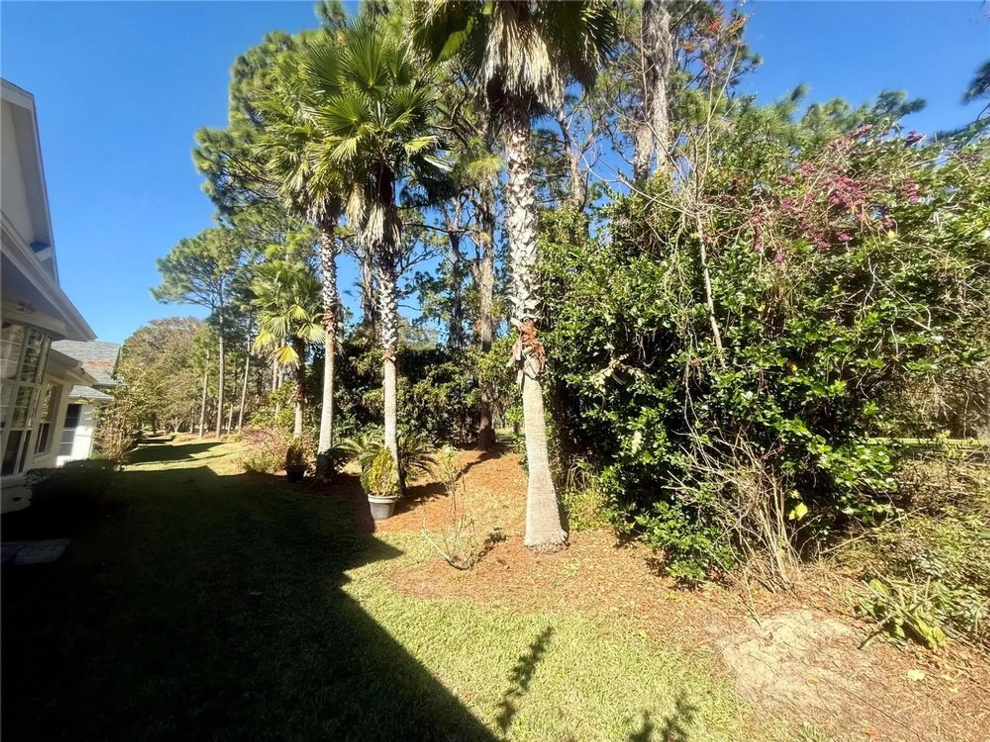 Property Slideshow image 51 of 66 | 11621 sw 72nd cir, Ocala, FL, 34476