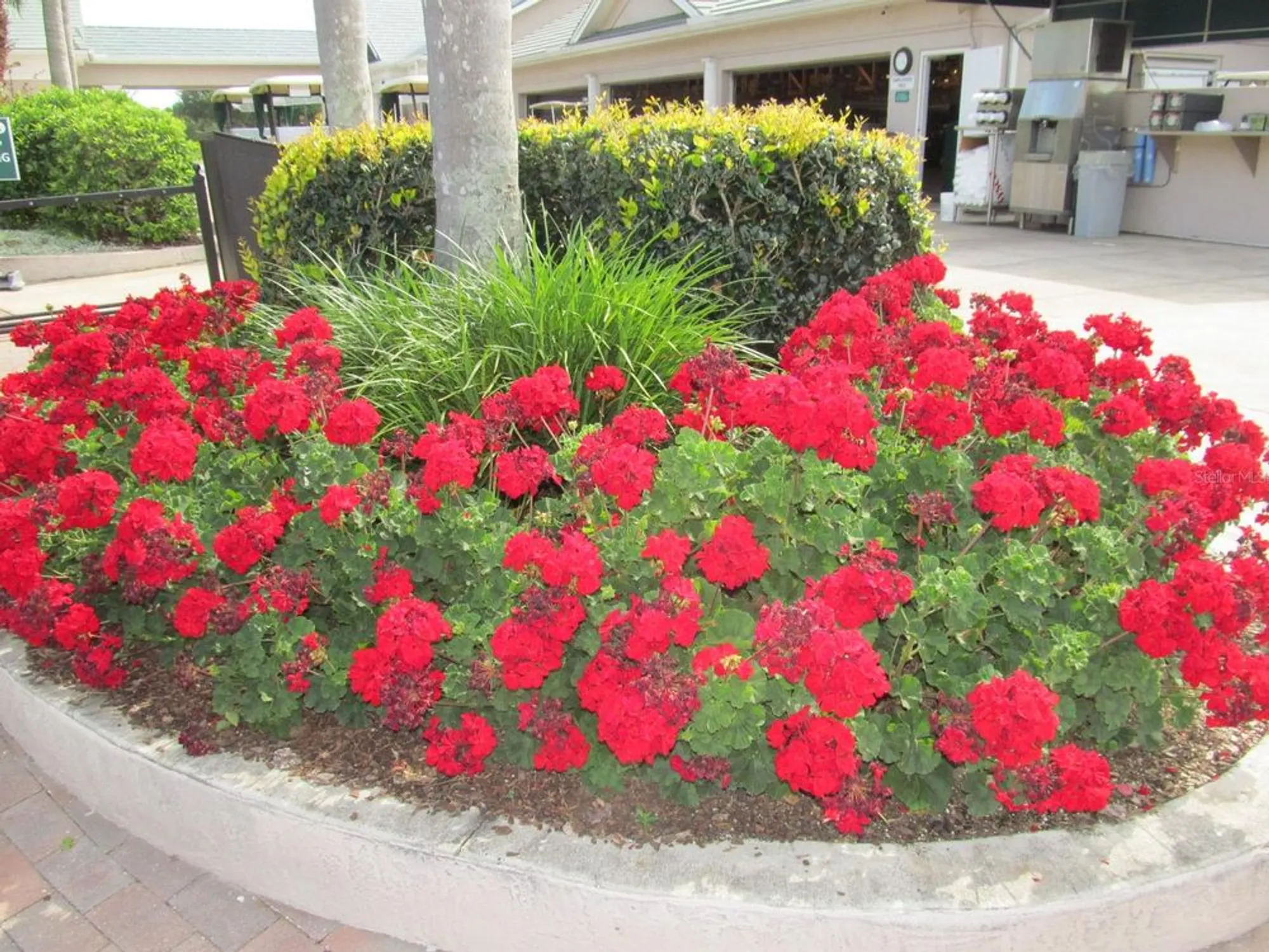 Property Slideshow image 63 of 65 | 6503 stone river rd apt 109, Bradenton, FL, 34203