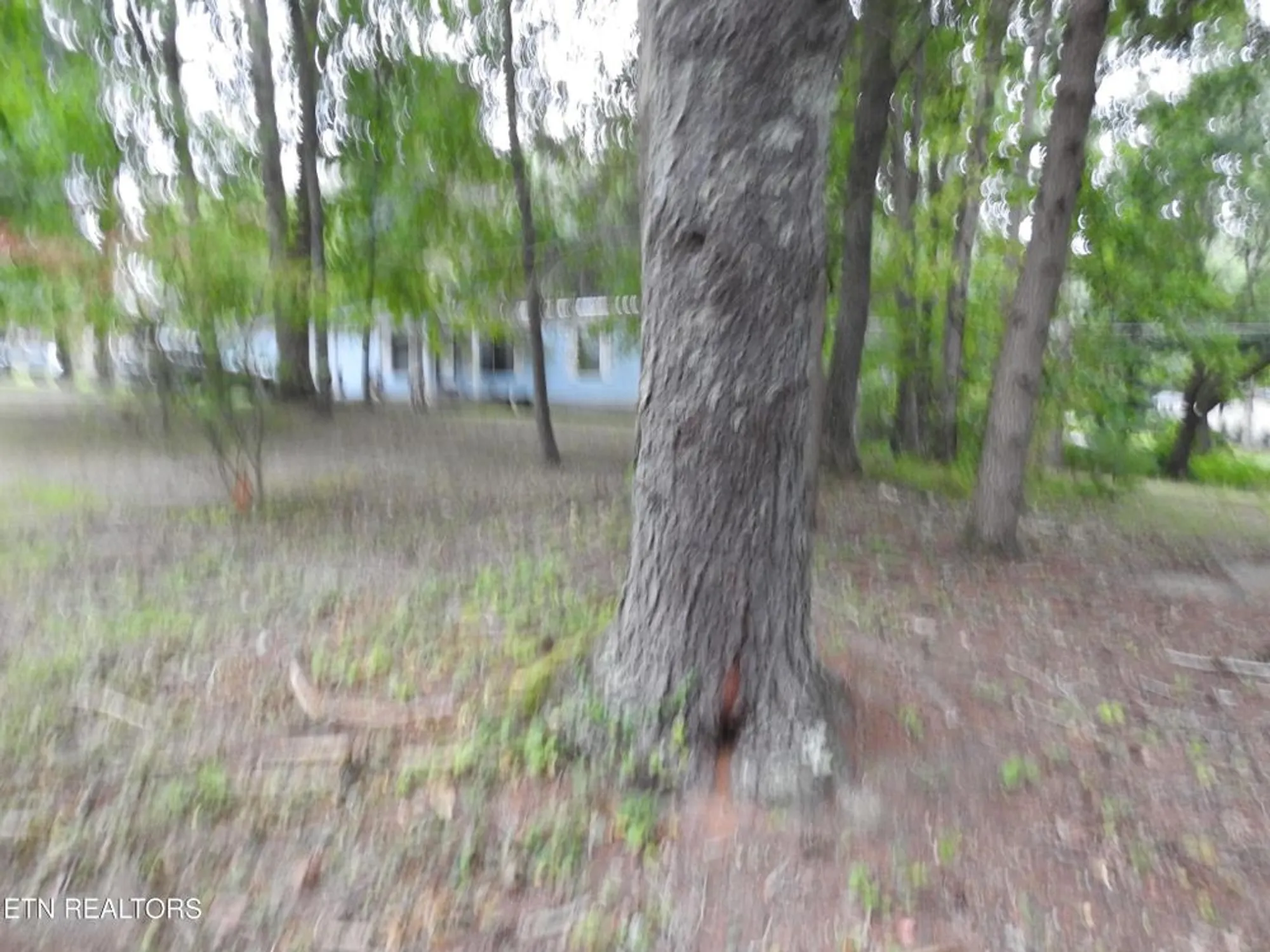 Property Slideshow image 19 of 42 | 244 rugby rd, Crossville, TN, 38558