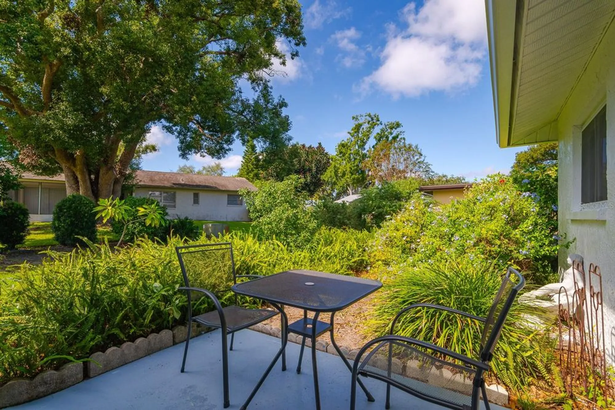 Property Slideshow image 4 of 45 | 1212 timberbrooke dr, Palm Harbor, FL, 34684