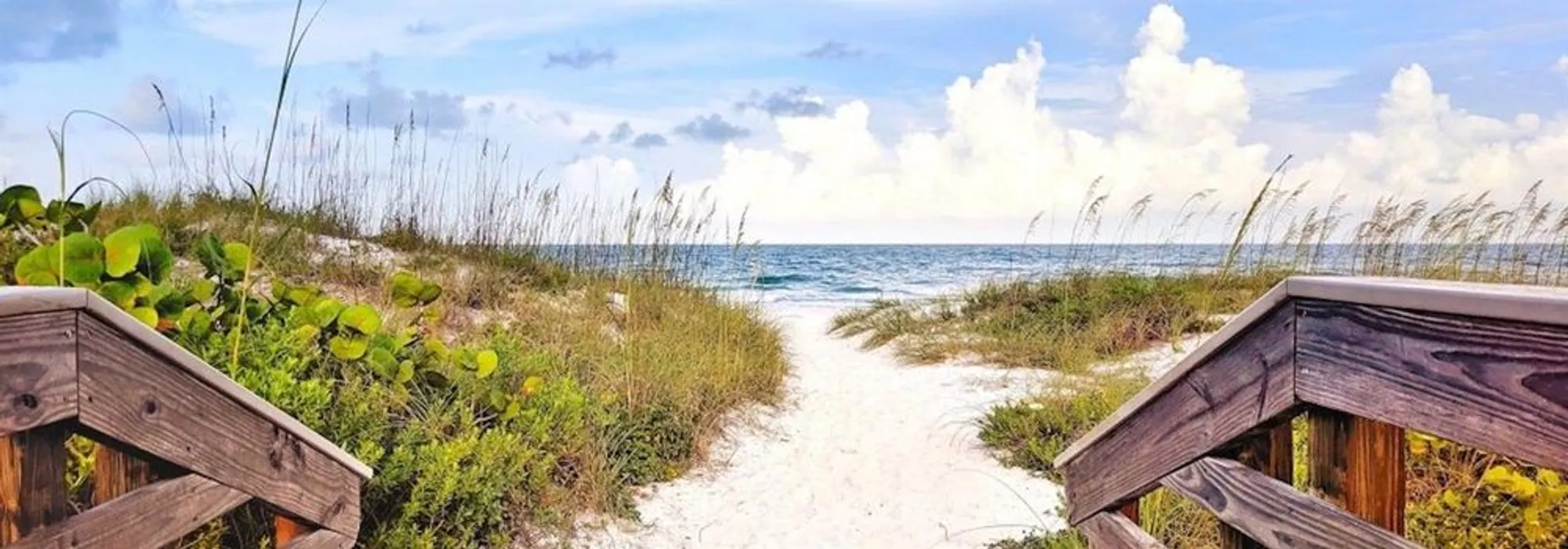 Property Slideshow image 51 of 76 | 425 cerromar ter 359, Venice, FL, 34293