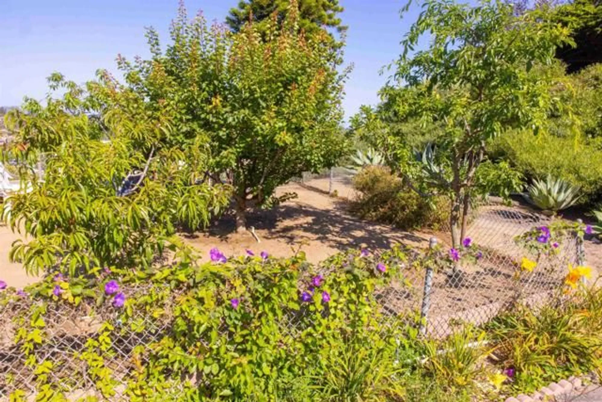 Property Slideshow image 40 of 44 | 444 n el camino real spc 110, Encinitas, CA, 92024