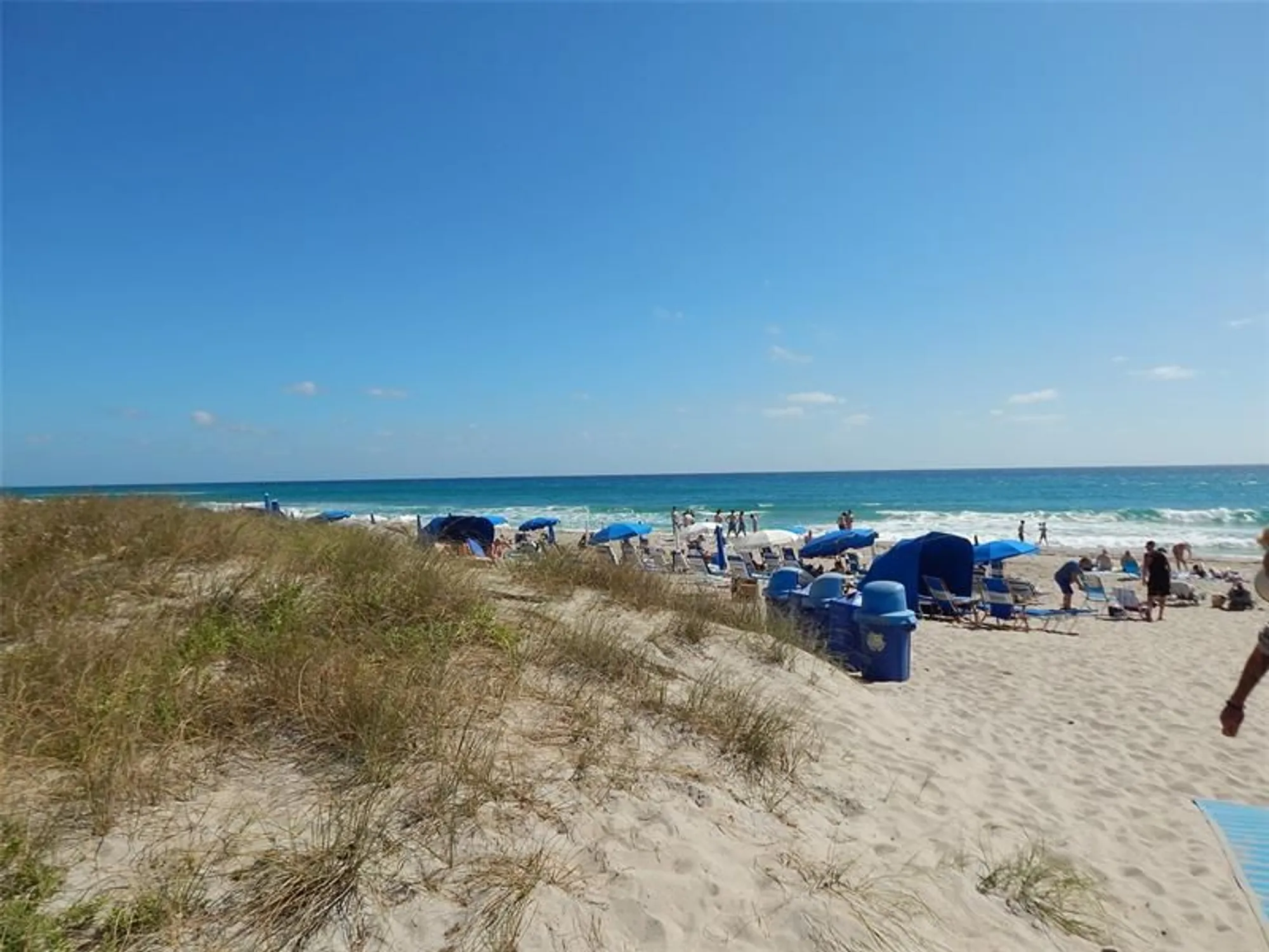 Property Slideshow image 62 of 68 | 2340 sw 22nd ave apt 303, Delray Beach, FL, 33445
