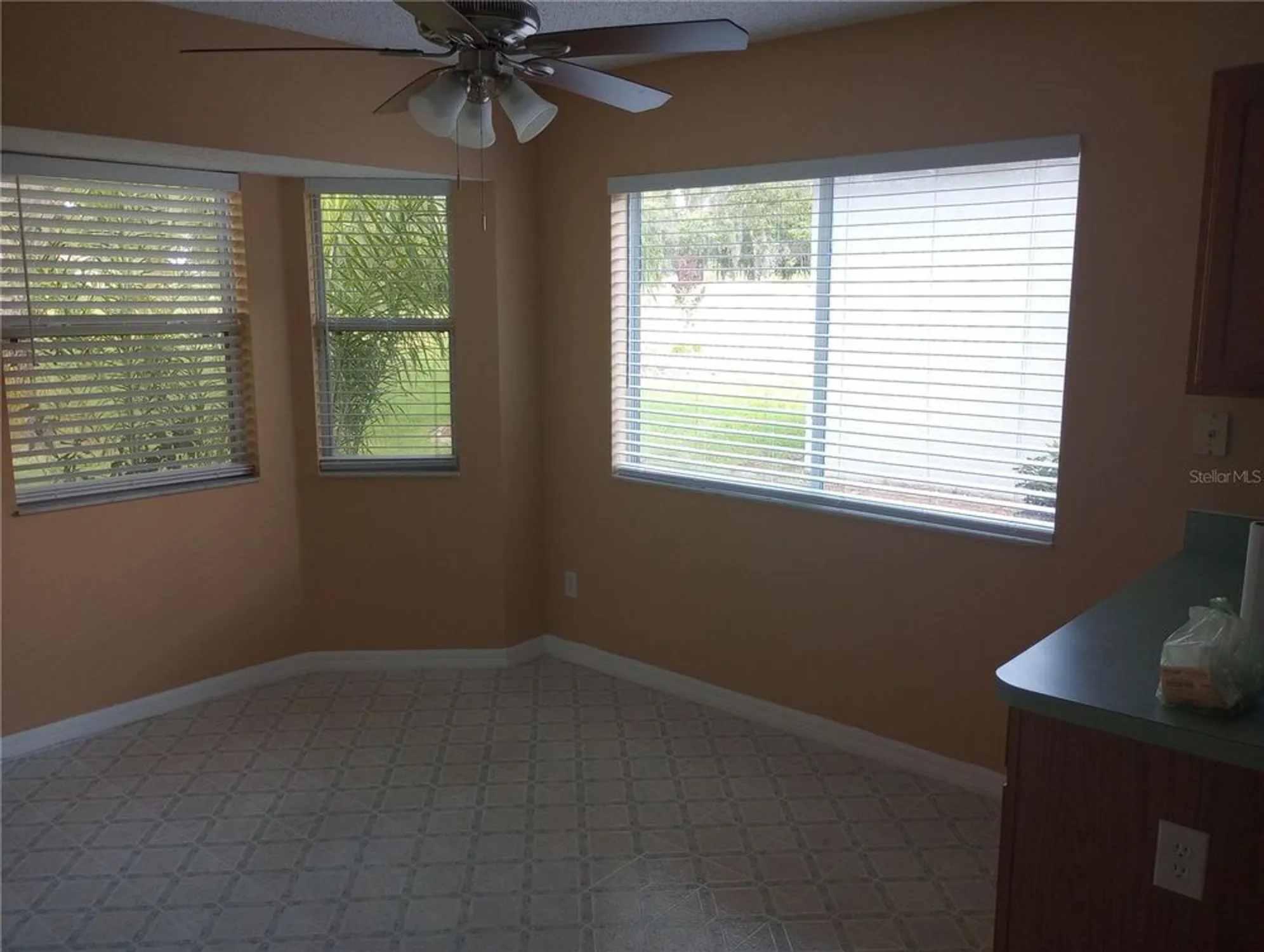 Property Slideshow image 24 of 33 | 32525 oak park dr, Leesburg, FL, 34748