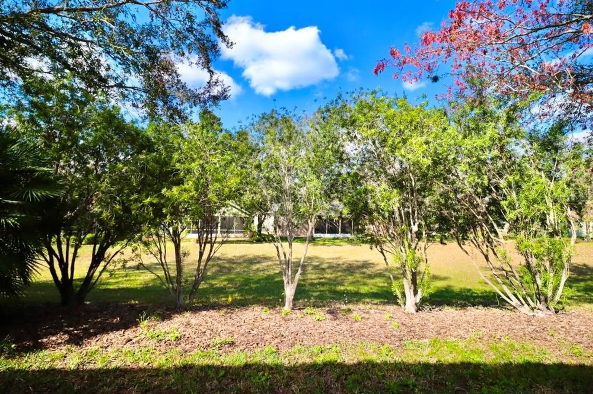 Property Slideshow image 22 of 41 | 119 crescent moon dr, Groveland, FL, 34736