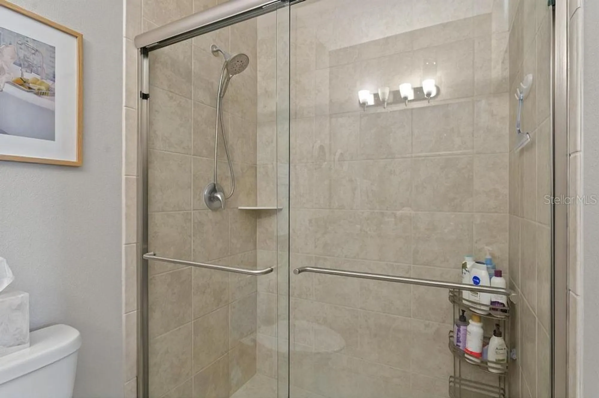 Property Slideshow image 32 of 38 | 27121 white plains way, Leesburg, FL, 34748