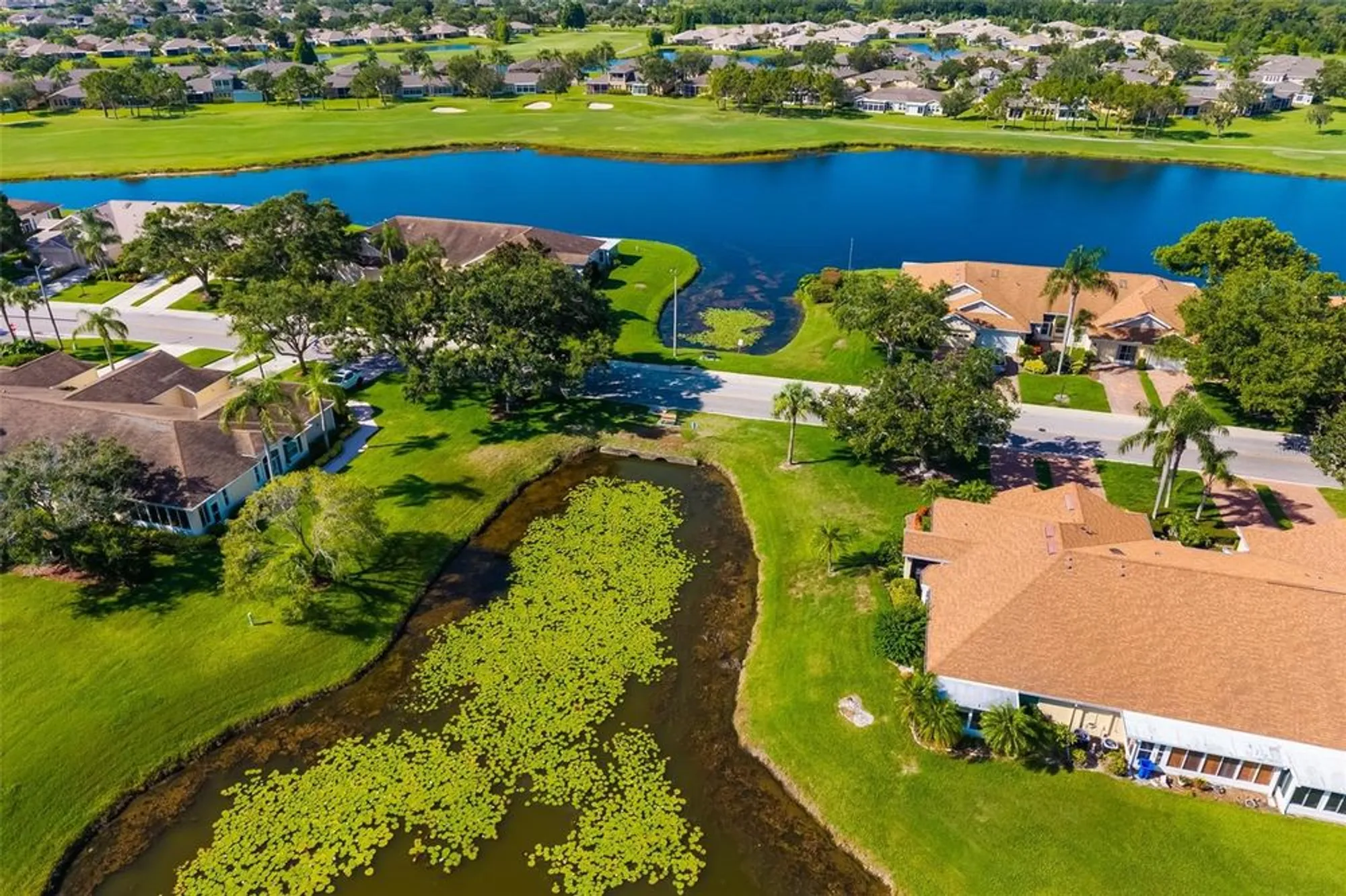 Property Slideshow image 44 of 76 | 2411 new haven cir 70, Sun City Center, FL, 33573