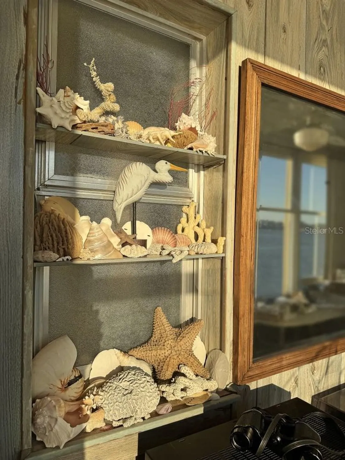 Property Slideshow image 17 of 46 | 4750 cove cir apt 502, St Petersburg, FL, 33708