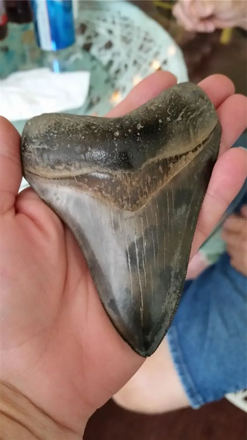 Property Slideshow image 70 of 100 | 610 apple ln, Englewood, FL, 34223