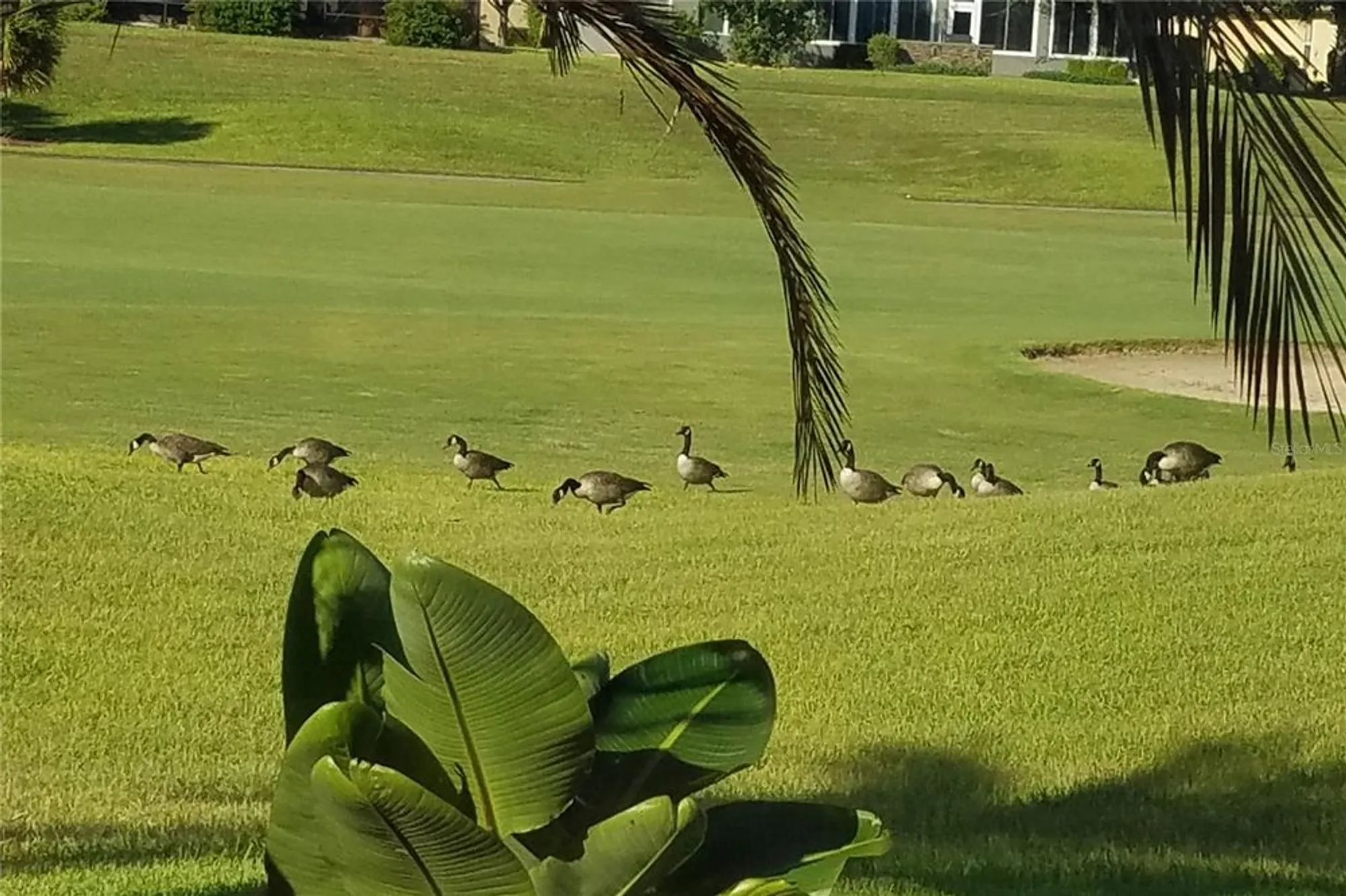 Property Slideshow image 93 of 100 | 6816 sw 95th cir, Ocala, FL, 34481
