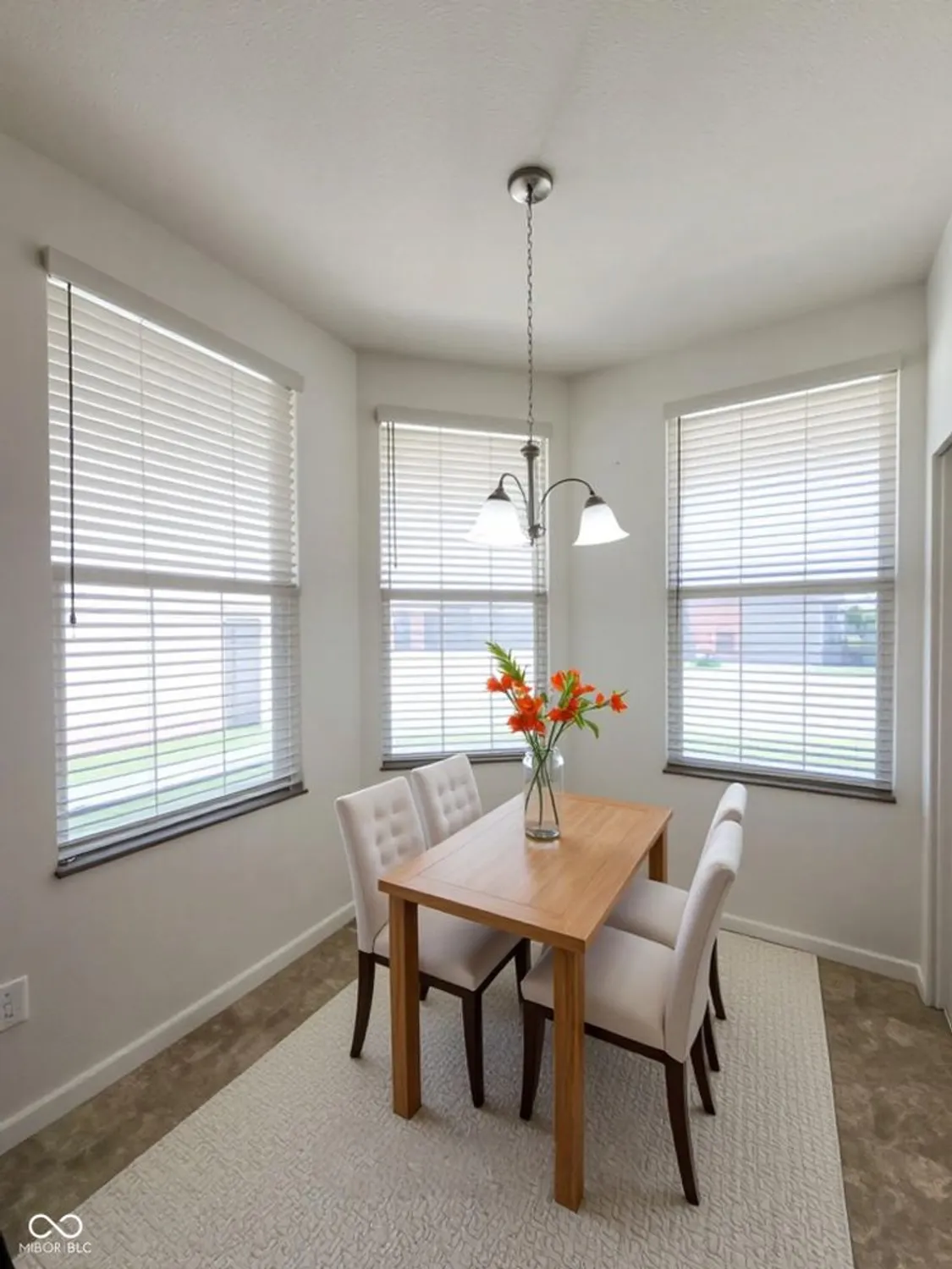 Property Slideshow image 10 of 56 | 4889 lilium dr, Plainfield, IN, 46168