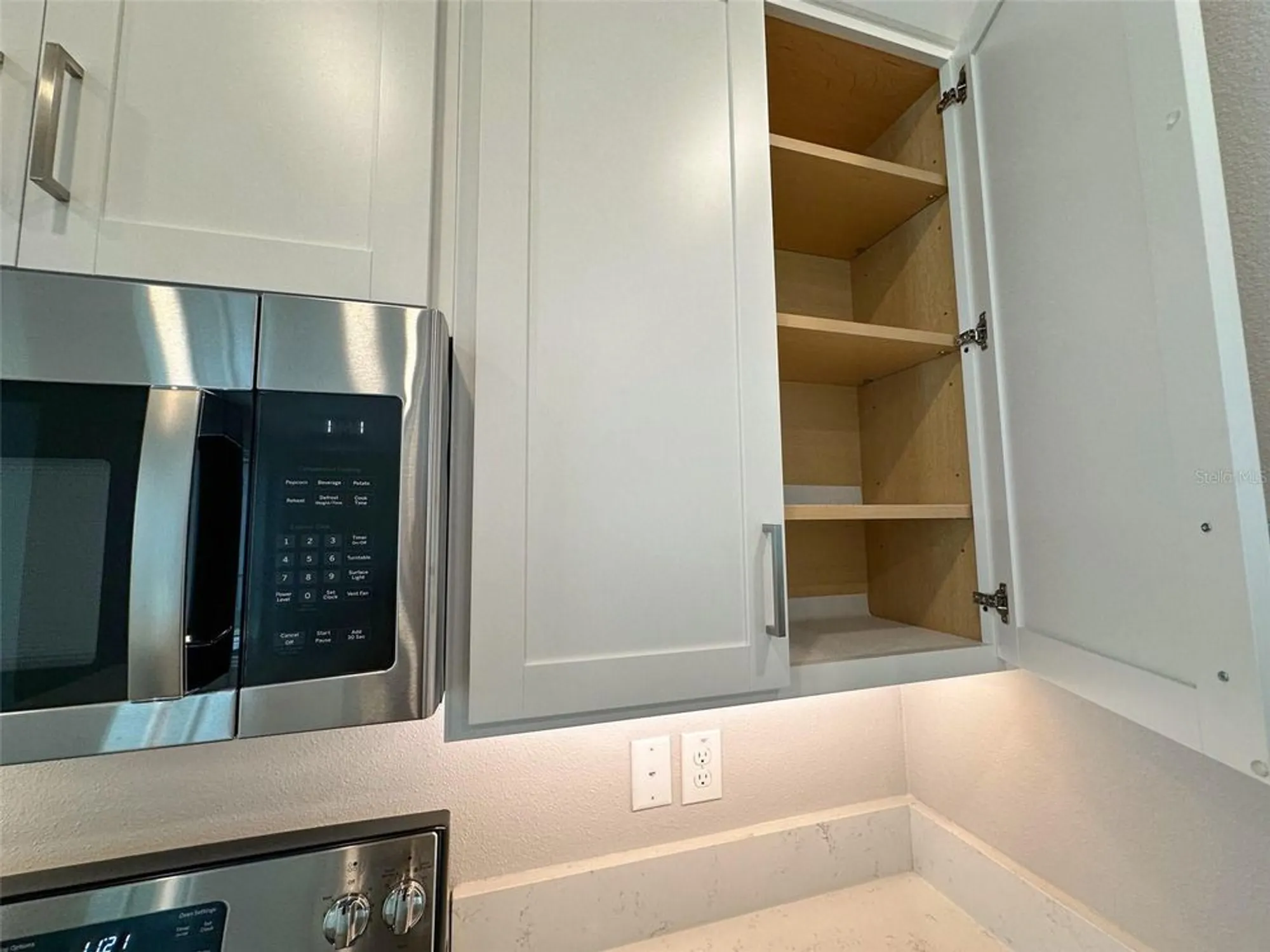 Property Slideshow image 16 of 90 | 17216 mango shay ct, Land O Lakes, FL, 34638