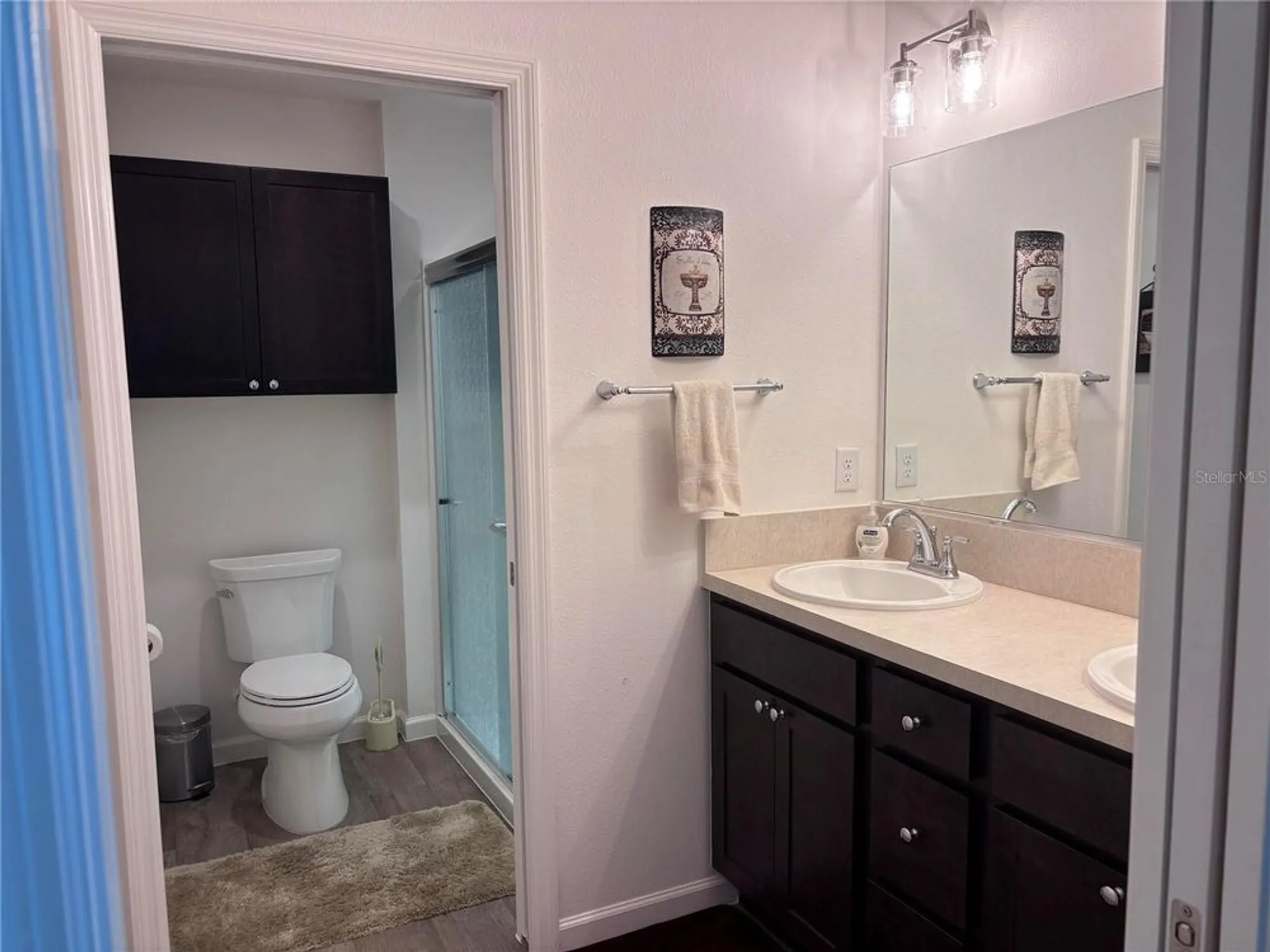 Property Slideshow image 19 of 25 | 3328 davis ter, The Villages, FL, 32163