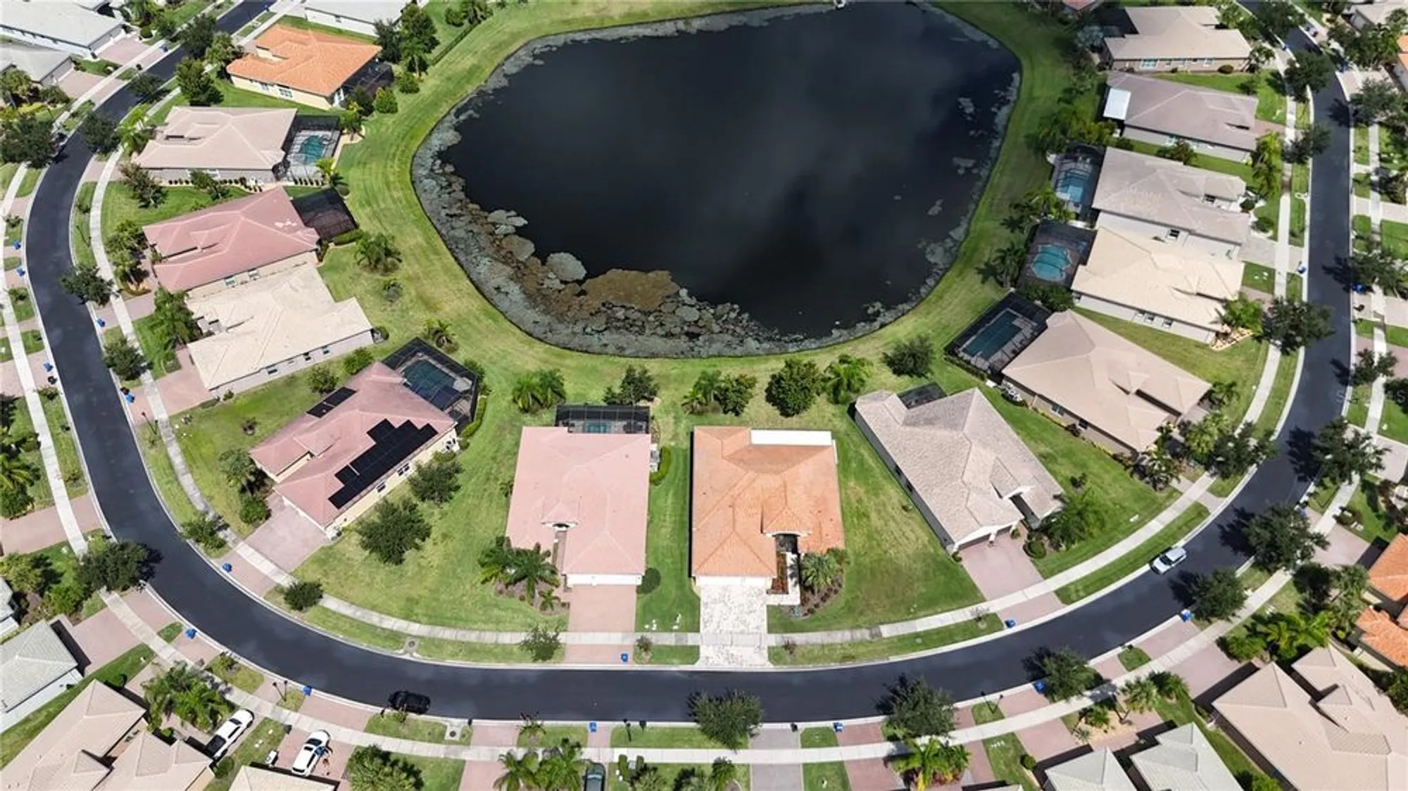 Property Slideshow image 59 of 74 | 16244 diamond bay dr, Wimauma, FL, 33598