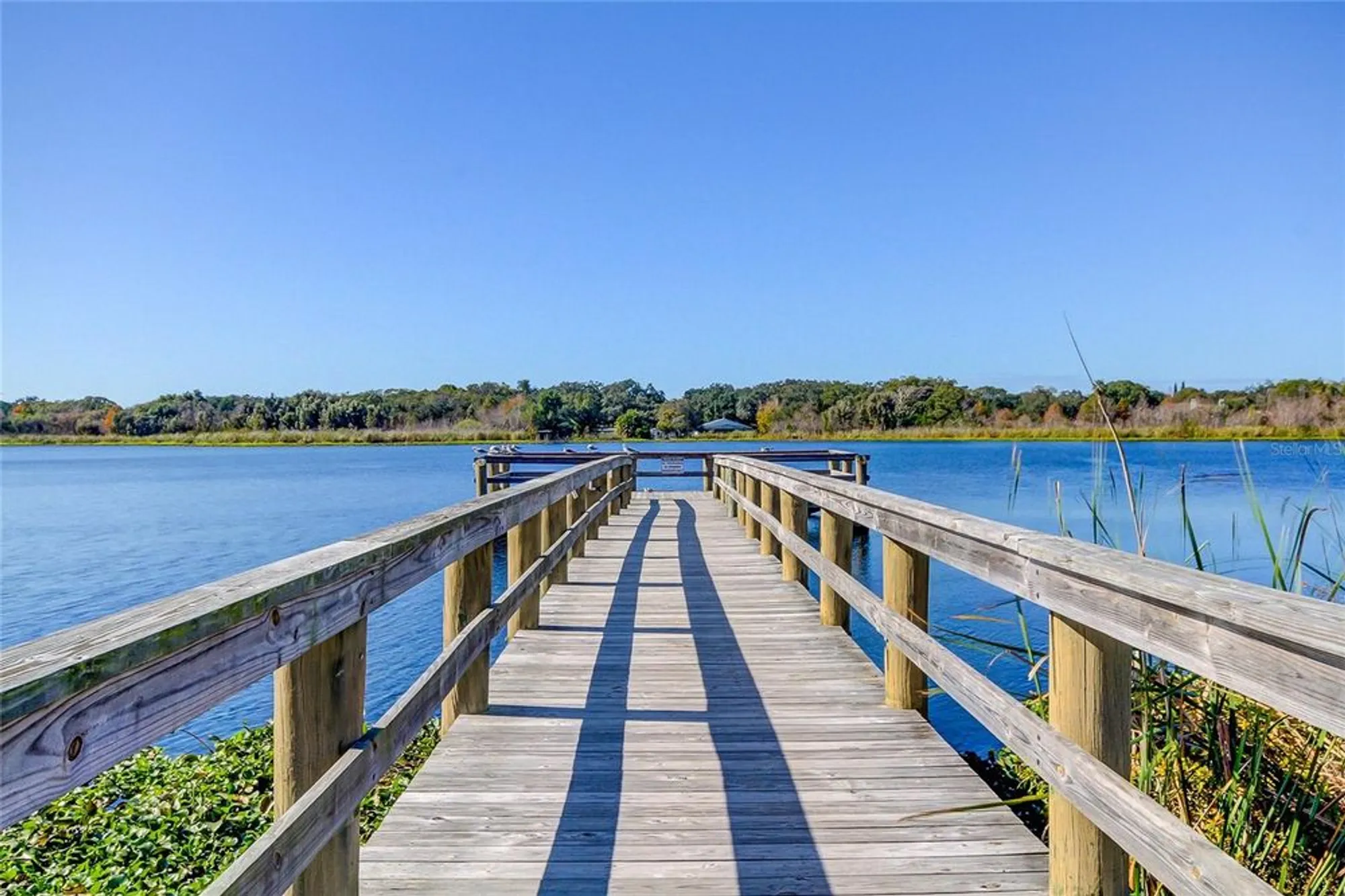 Property Slideshow image 52 of 75 | 2457 ecuadorian way apt 57, Clearwater, FL, 33763