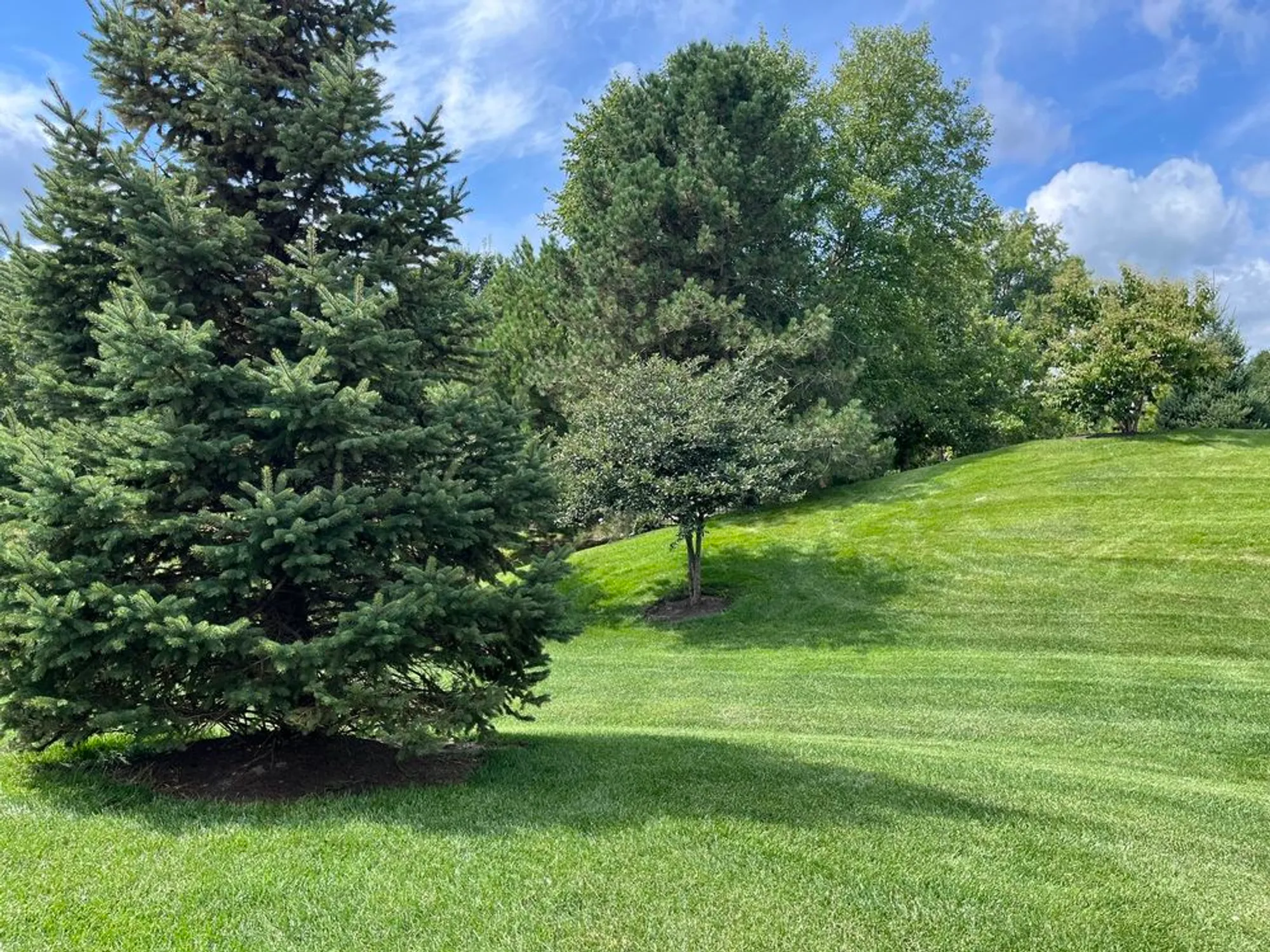 Property Slideshow image 2 of 19 | 2862 stoney creek dr, Elgin, IL, 60124
