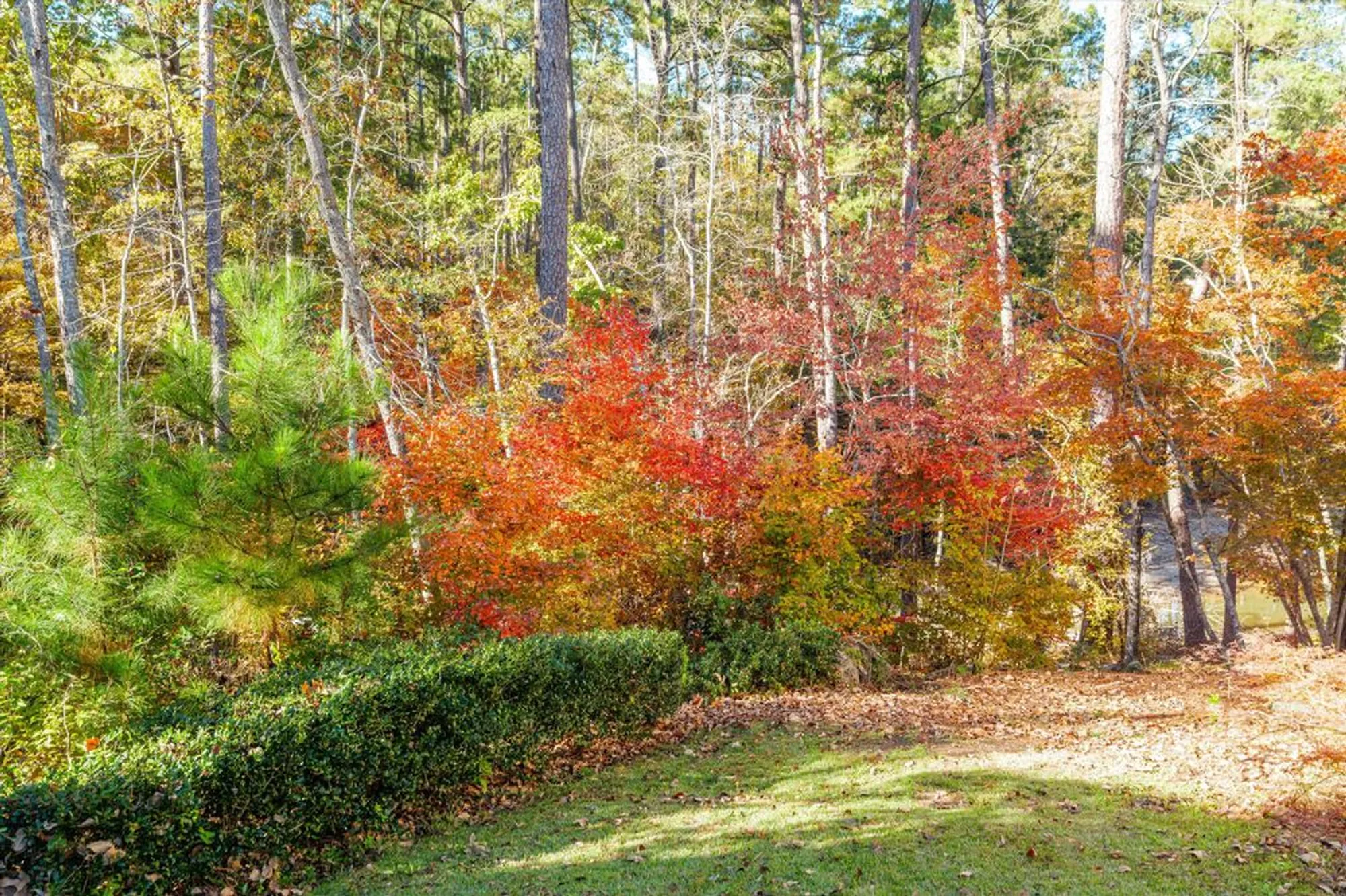 Property Slideshow image 64 of 72 | 214 butler pt, Mc Cormick, SC, 29835