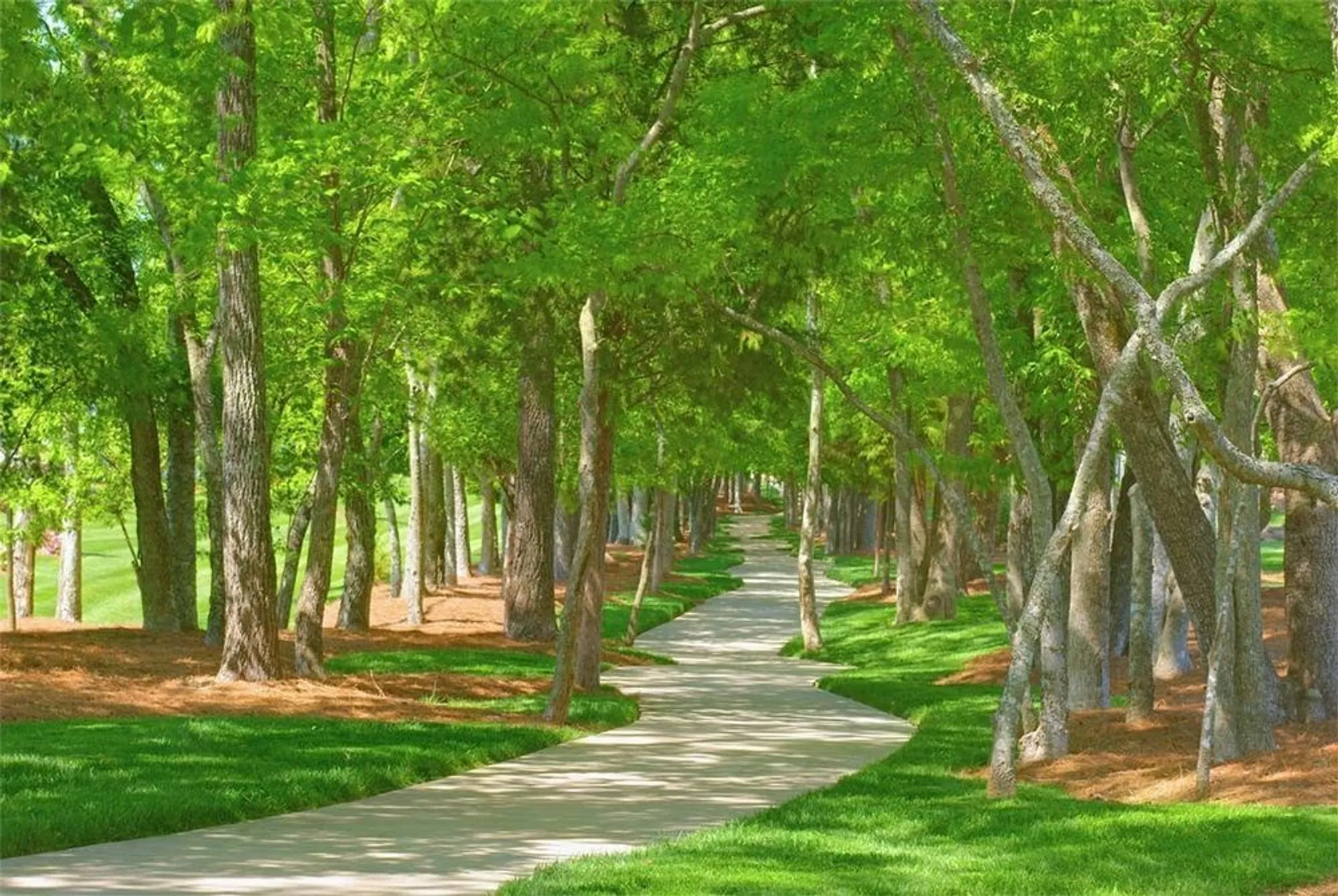 Property Slideshow image 41 of 43 | 302 blockade ln, Mount Juliet, TN, 37122