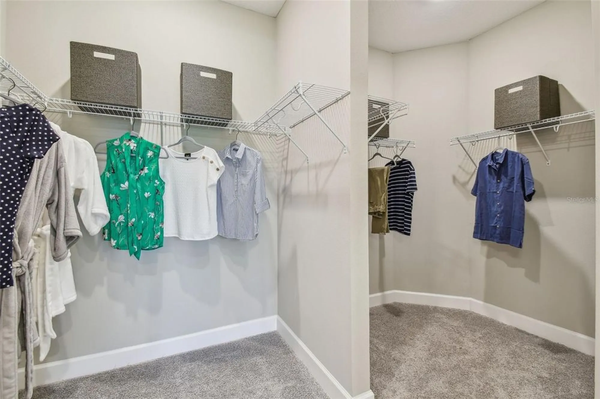 Property Slideshow image 25 of 100 | 4257 rosatti rd, Wesley Chapel, FL, 33543