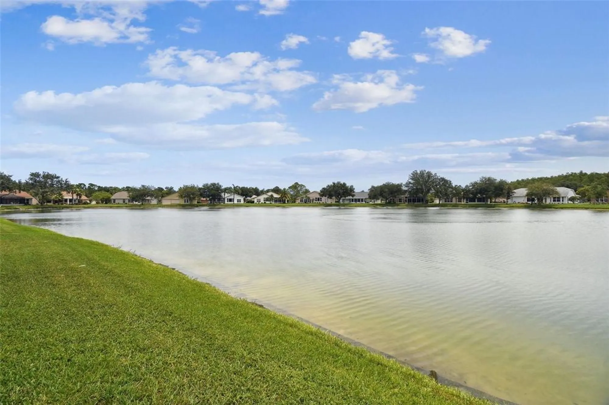 Property Slideshow image 36 of 59 | 1228 ashbourne cir, Trinity, FL, 34655