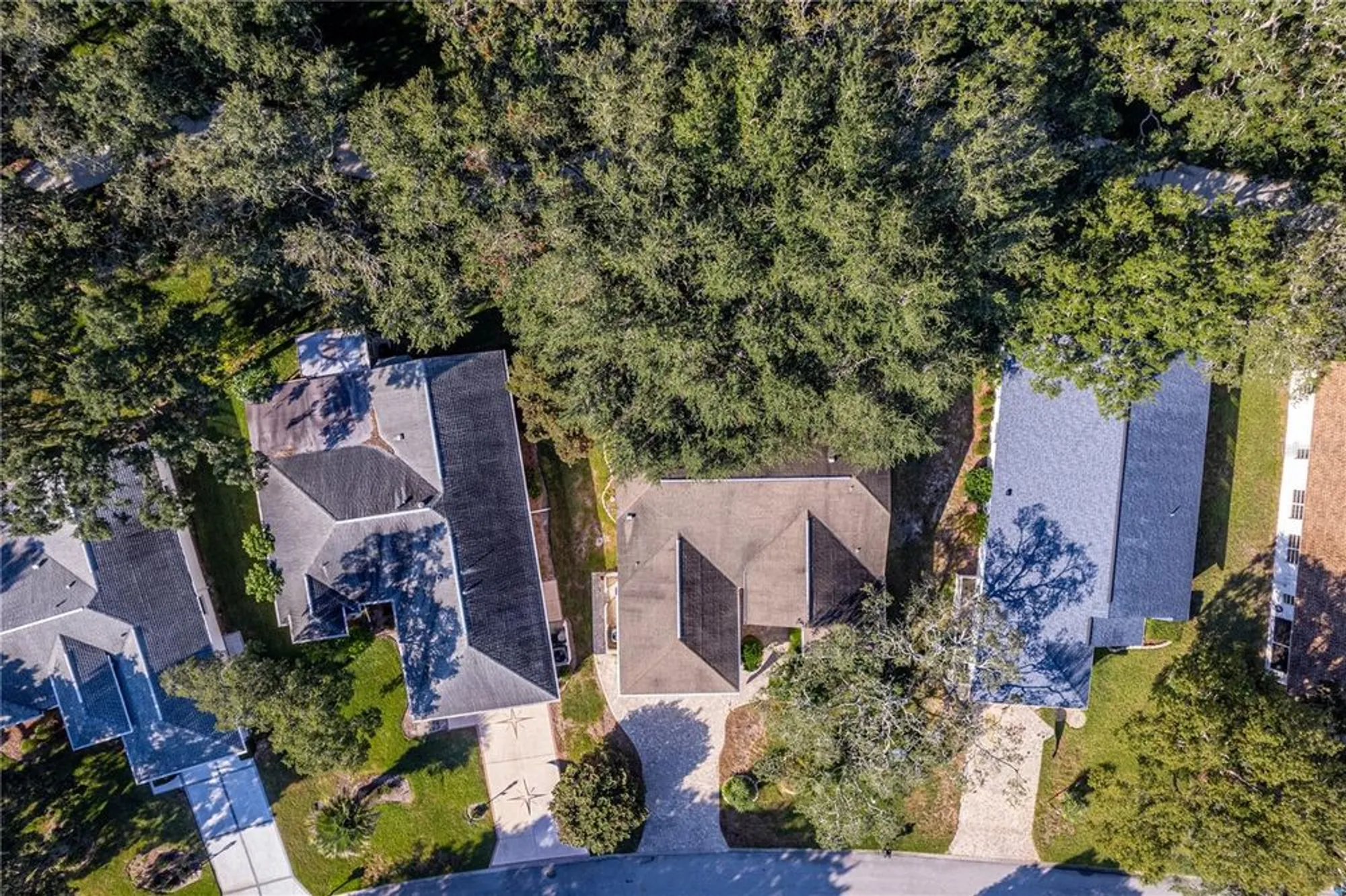 Property Slideshow image 63 of 78 | 2075 quailwood ln, Spring Hill, FL, 34606