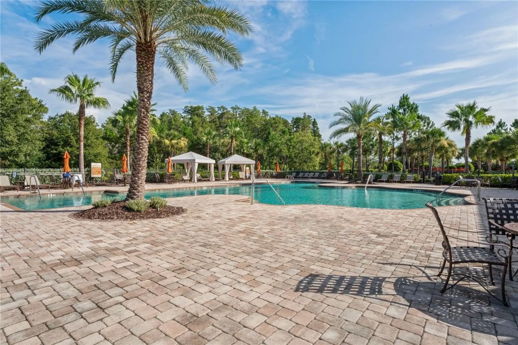 Property Slideshow image 66 of 91 | 11223 egeria dr, Odessa, FL, 33556